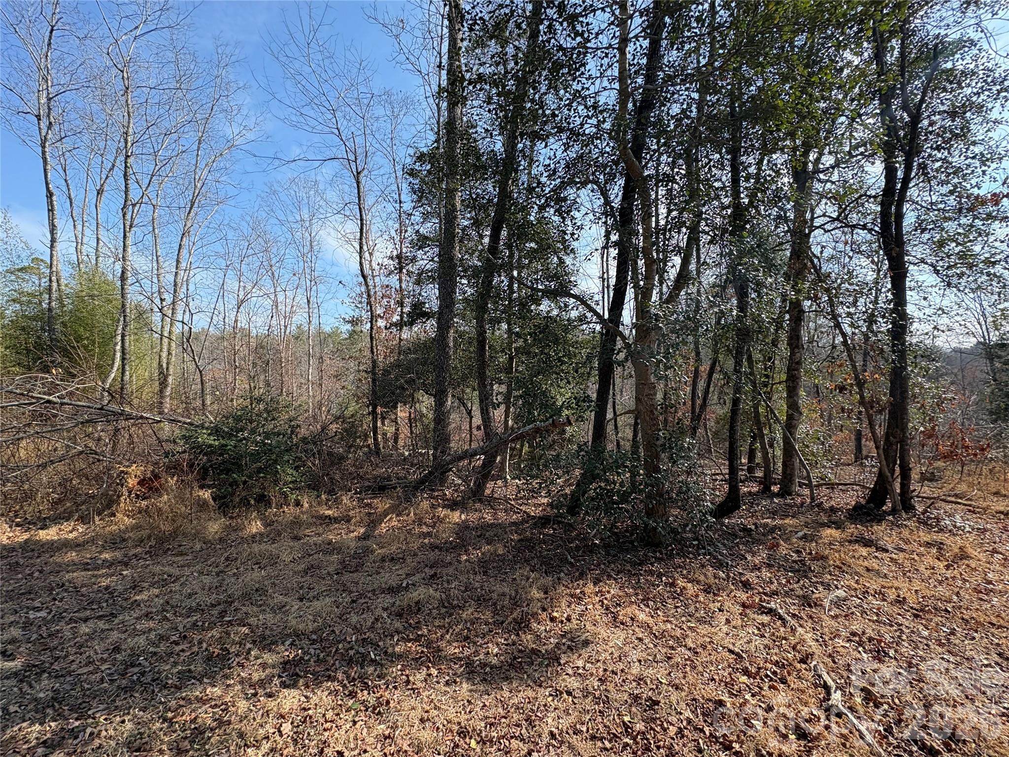 120 Shamrock Circle Property Photo 4