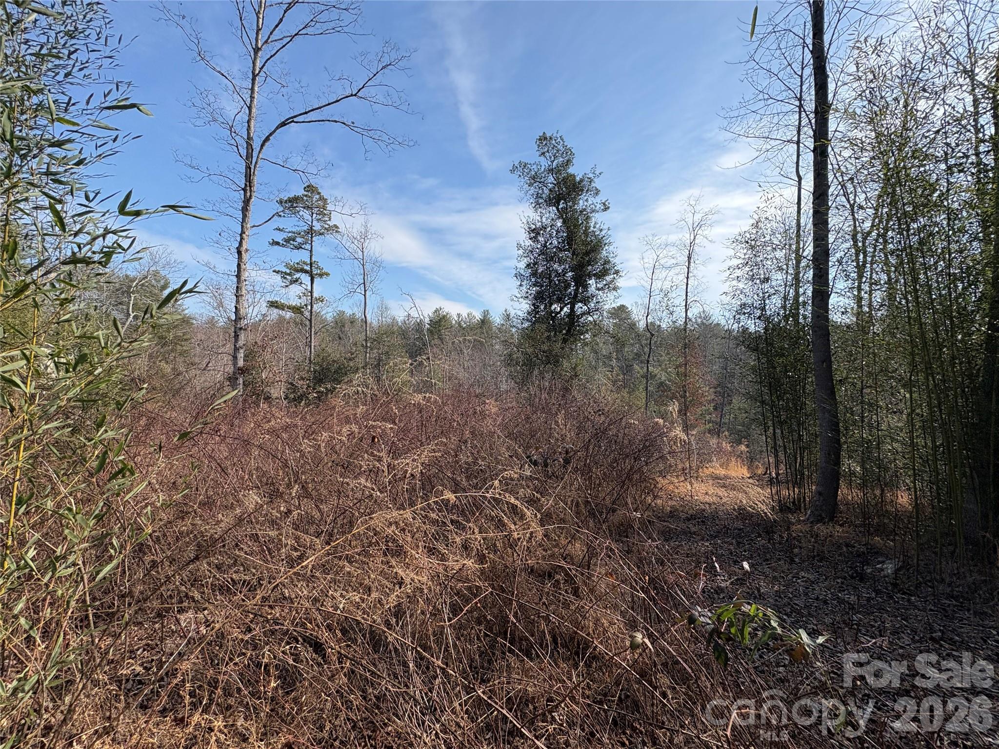 120 Shamrock Circle Property Photo 6