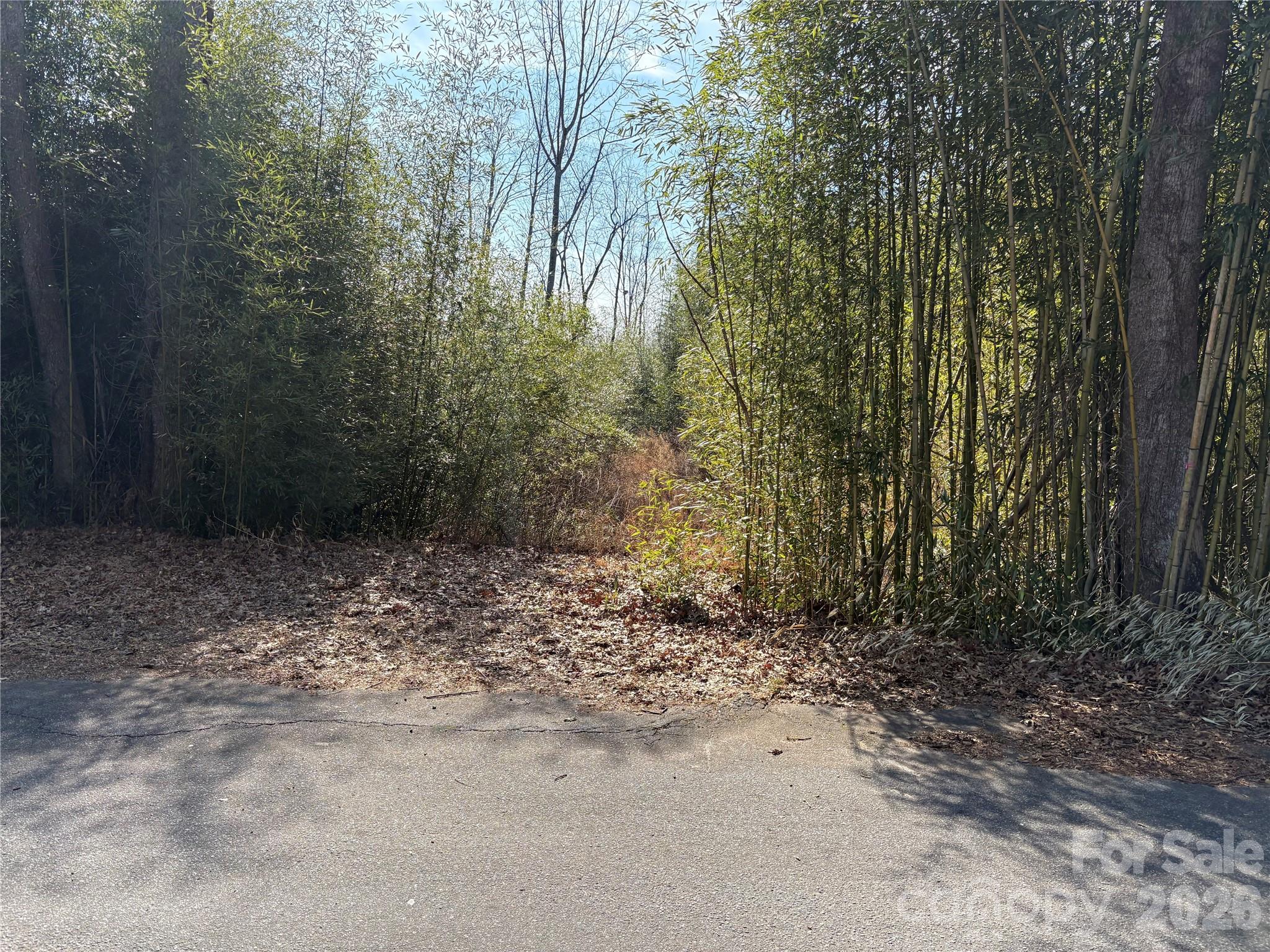 120 Shamrock Circle Property Photo 7