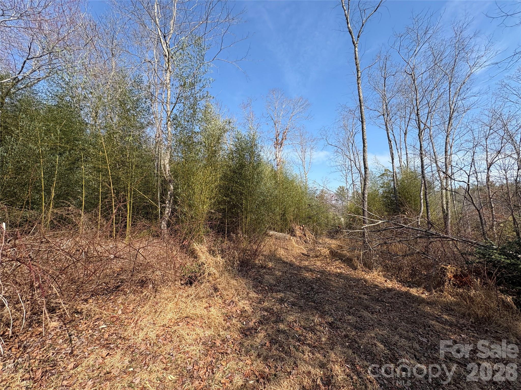 120 Shamrock Circle Property Photo 10