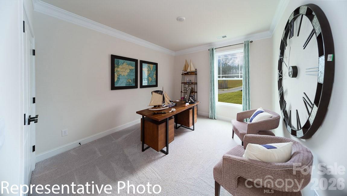 7802 Old Brook Road Property Photo 17