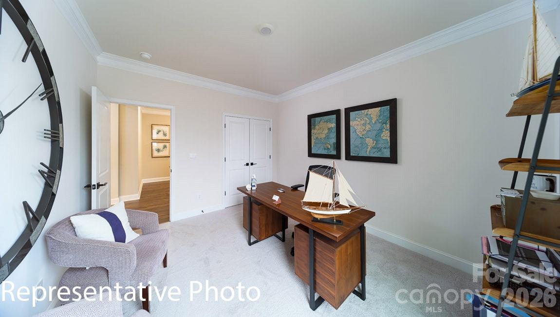 7802 Old Brook Road Property Photo 18