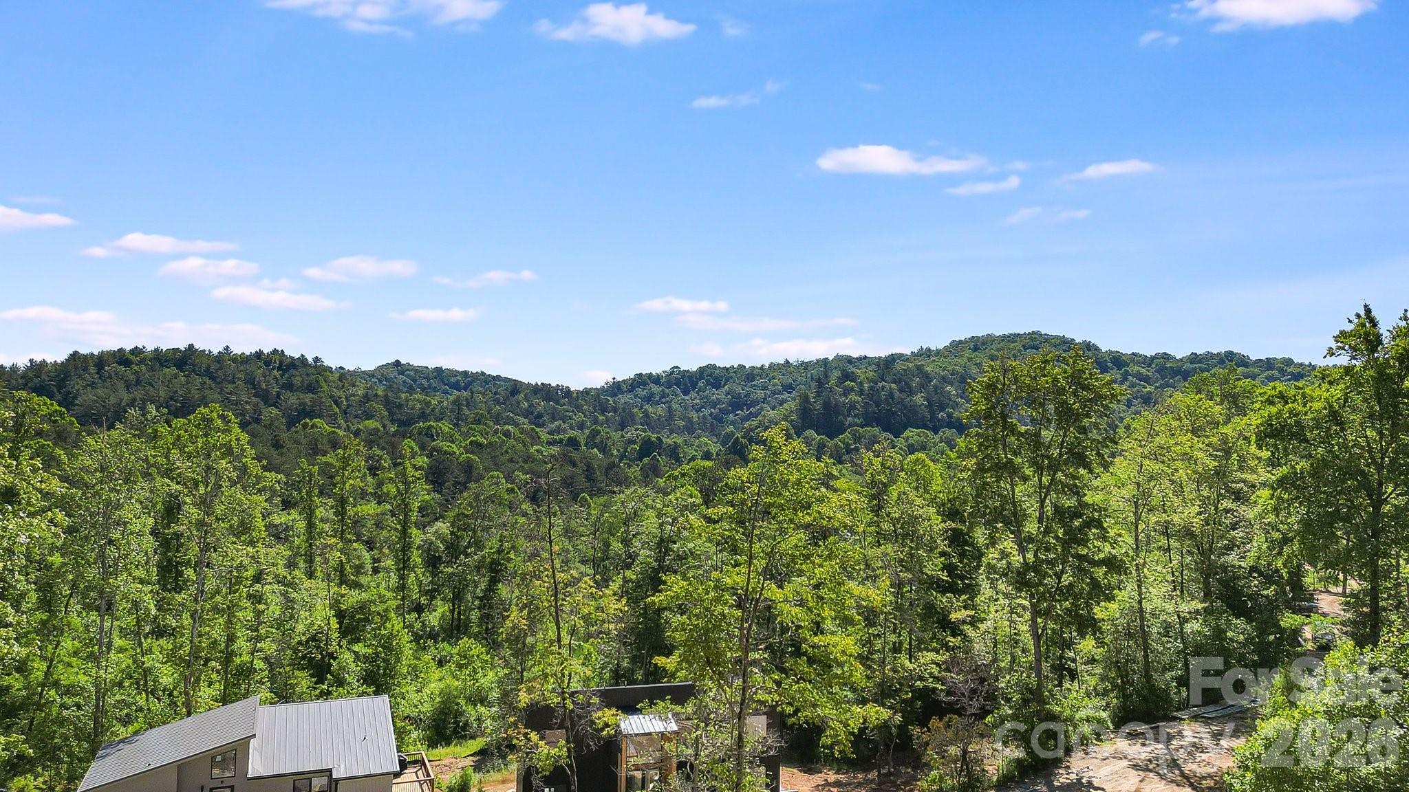 110 South Fork Trail 10 Property Photo 16