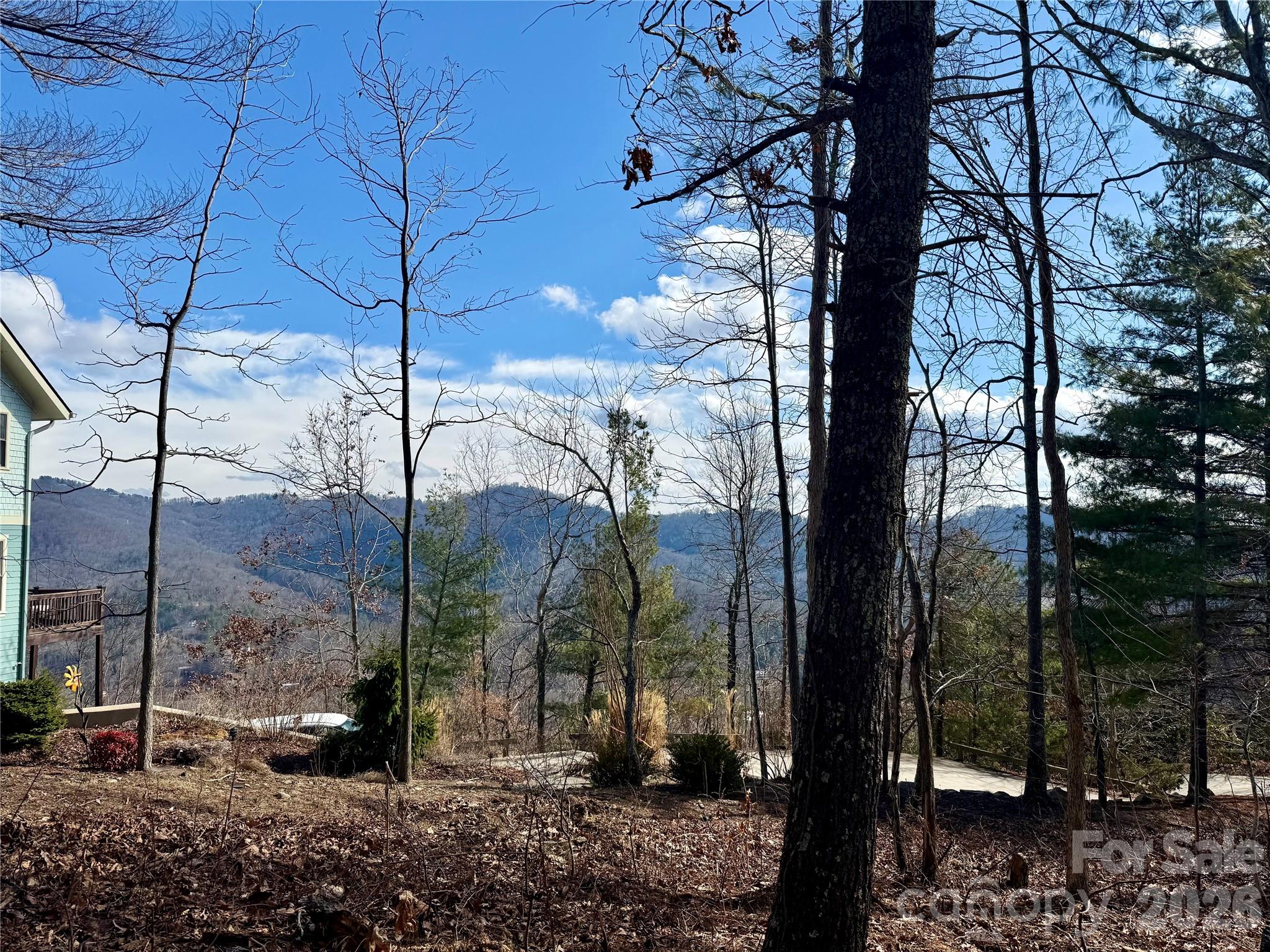 000 Rambling Ridge Road 16 Property Photo 2