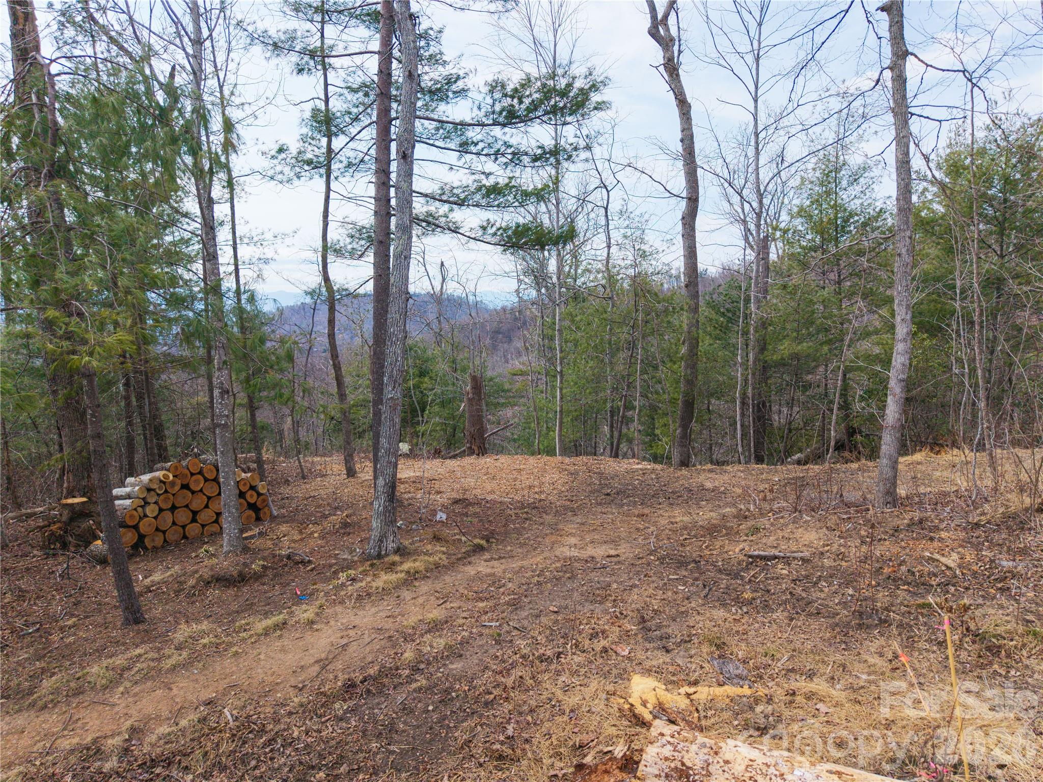 000 Rambling Ridge Road 16 Property Photo 4