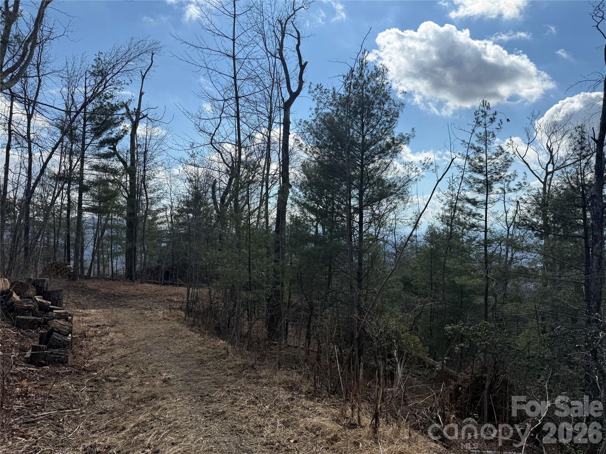 000 Rambling Ridge Road 16 Property Photo 6