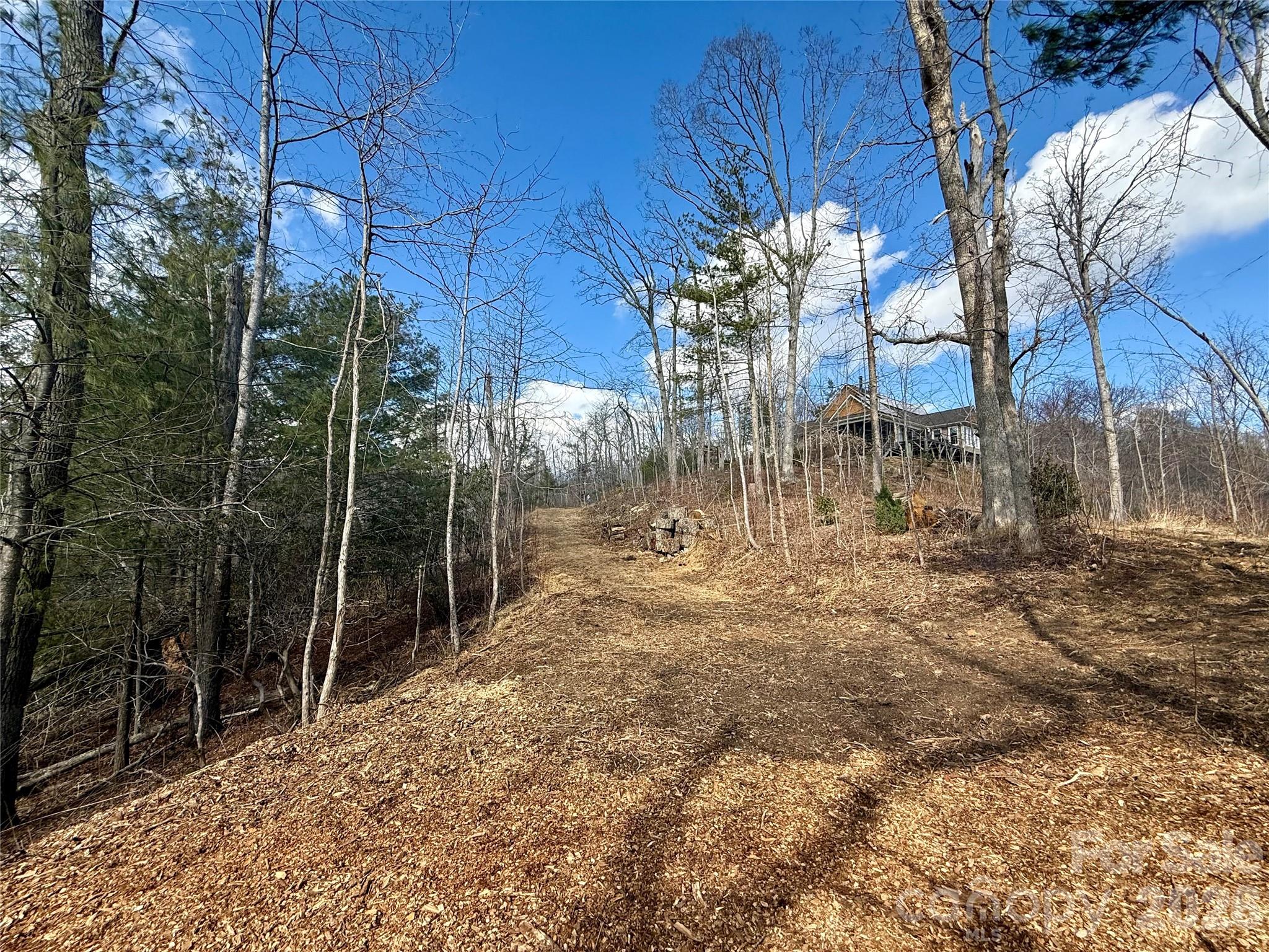000 Rambling Ridge Road 16 Property Photo 7
