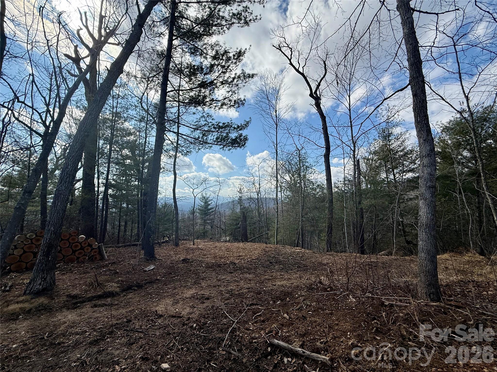 000 Rambling Ridge Road 16 Property Photo 8