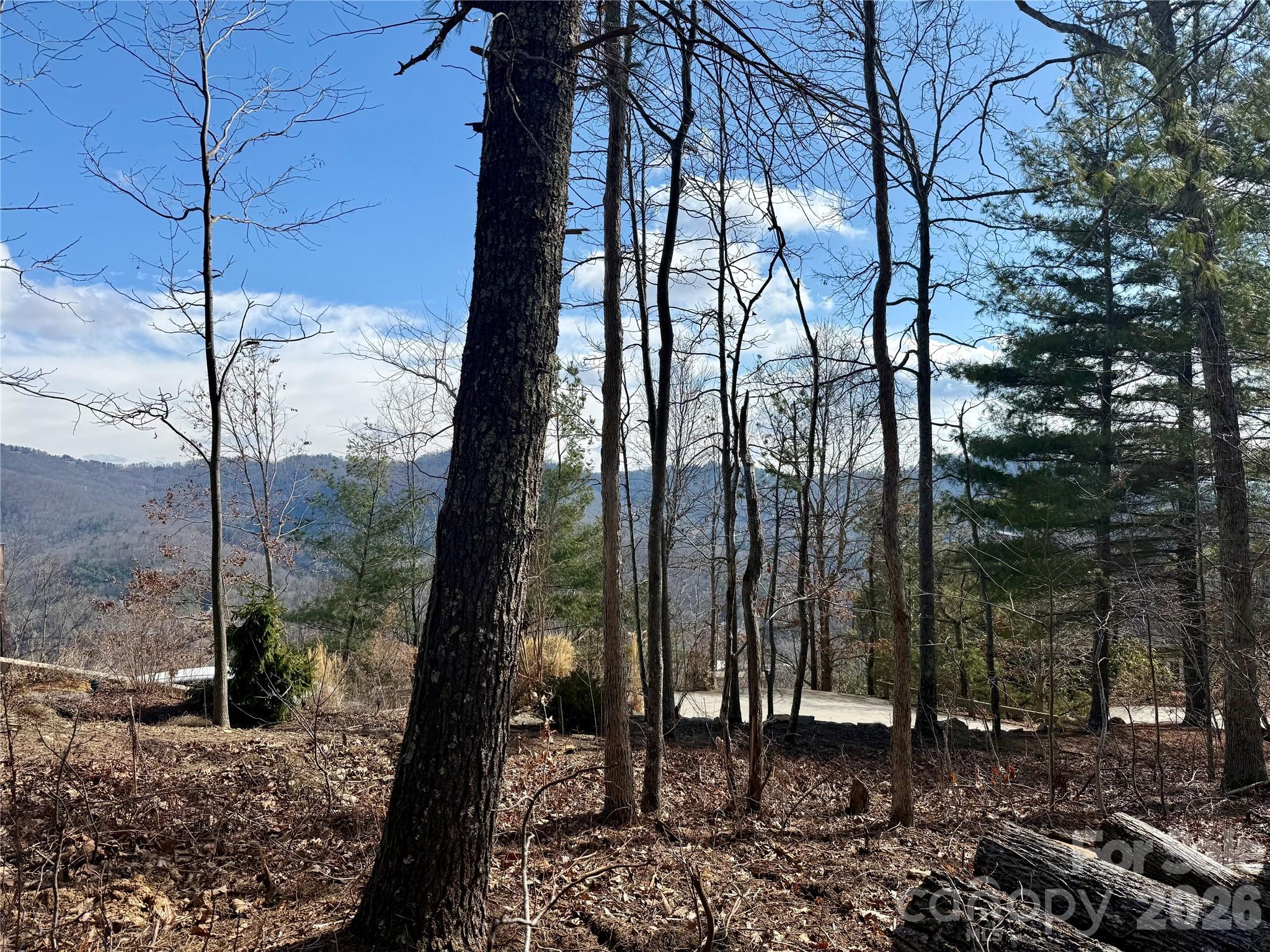 000 Rambling Ridge Road 16 Property Photo 10