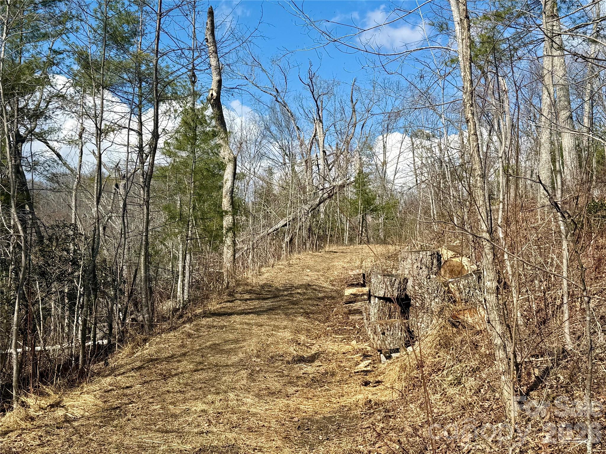 000 Rambling Ridge Road 16 Property Photo 12