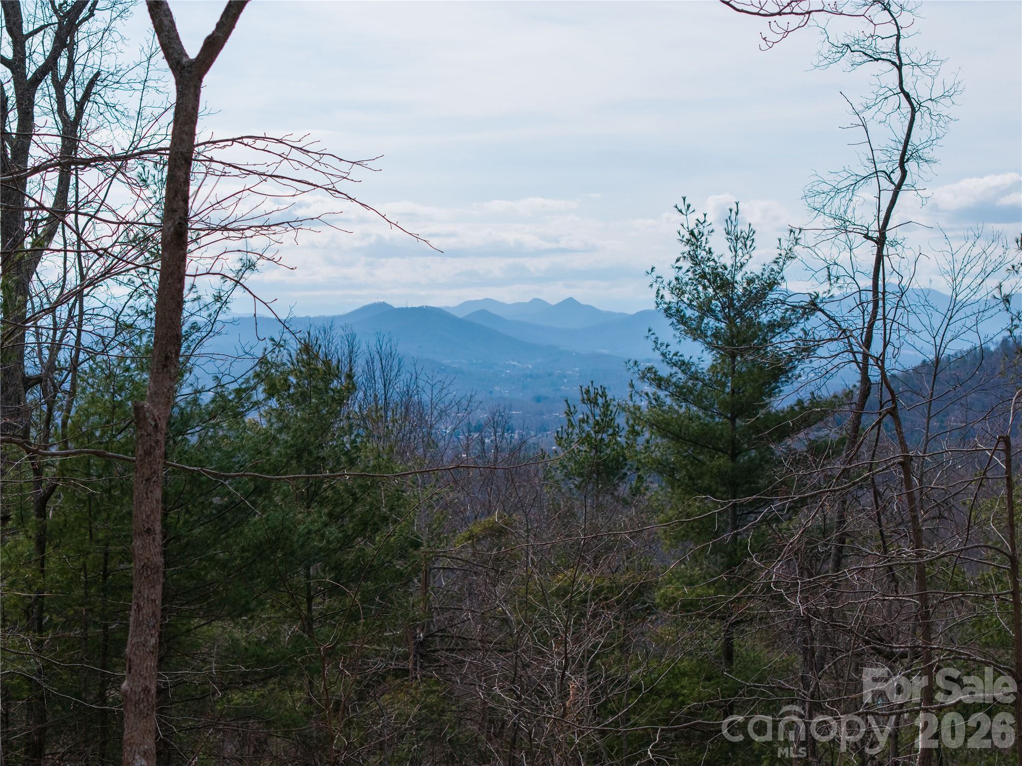 000 Rambling Ridge Road 16 Property Photo 14