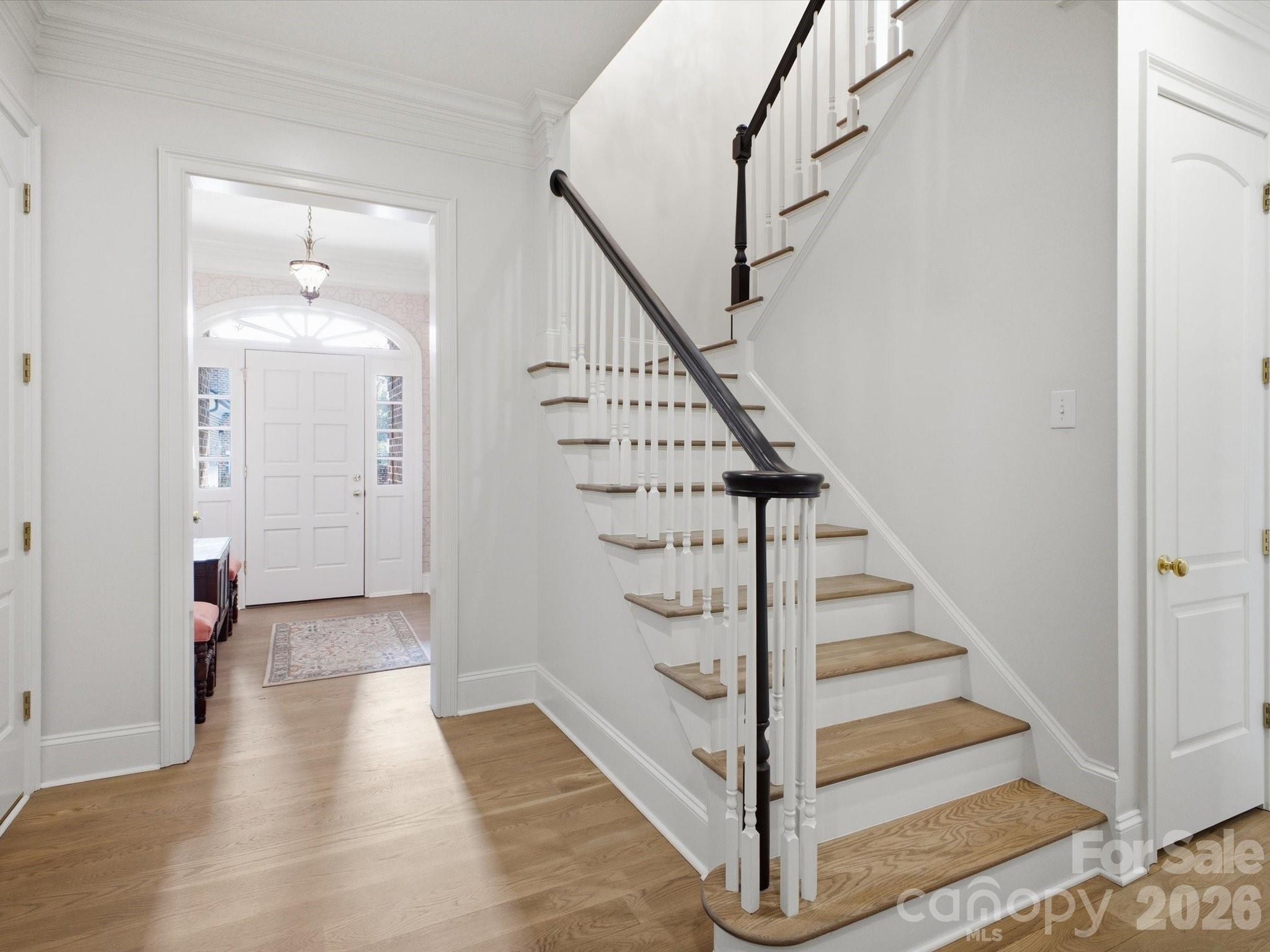 2917 Camden Park Place Property Photo 4