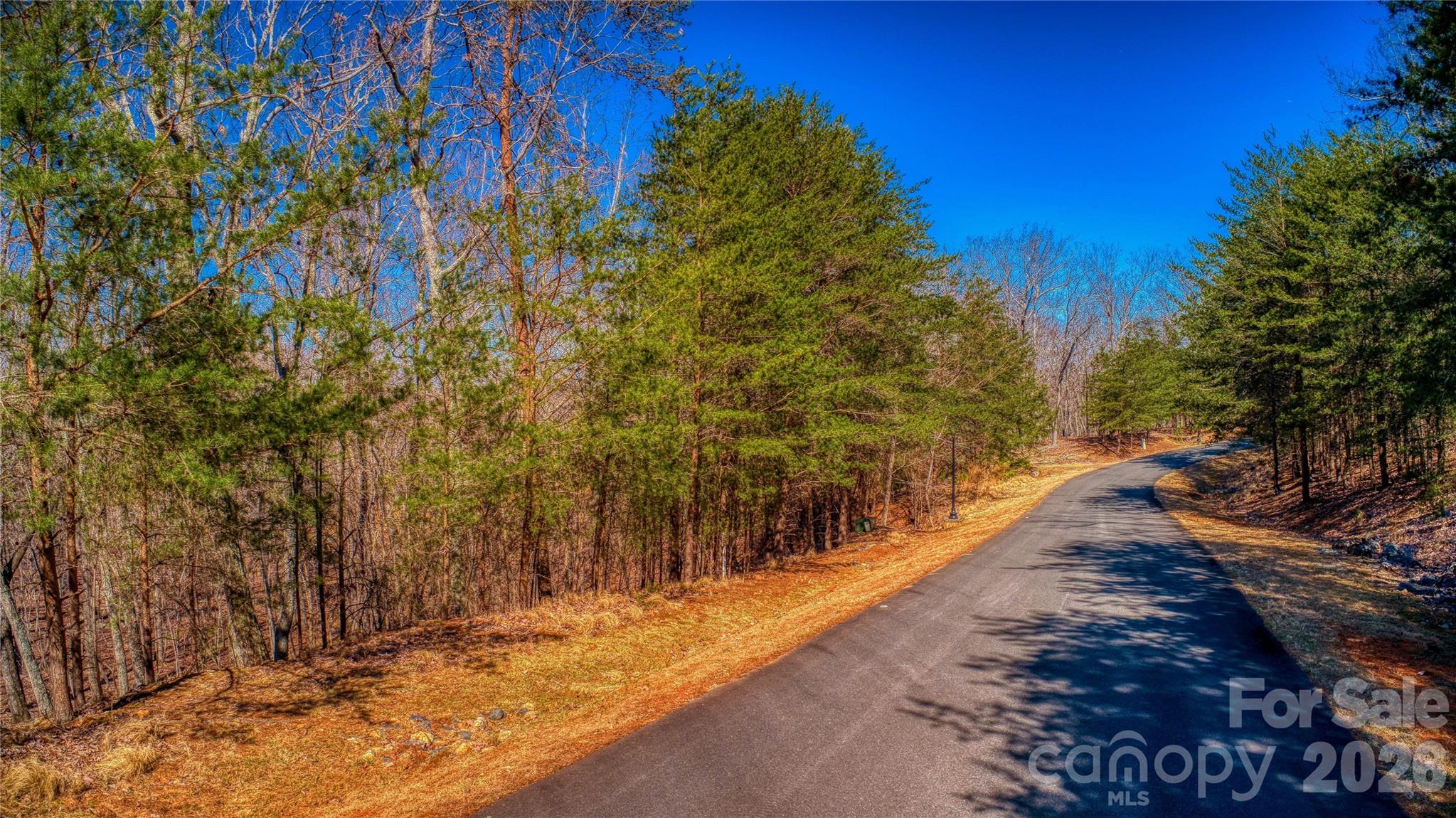 750 Palisade Trail Property Photo 7