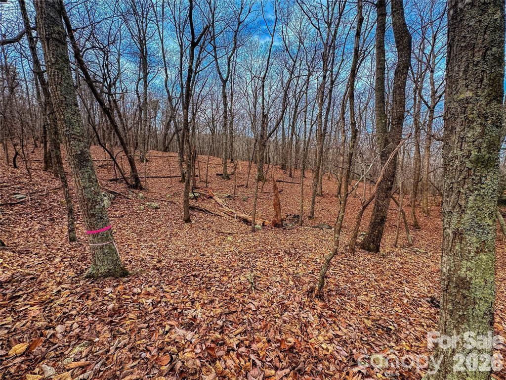750 Palisade Trail Property Photo 8