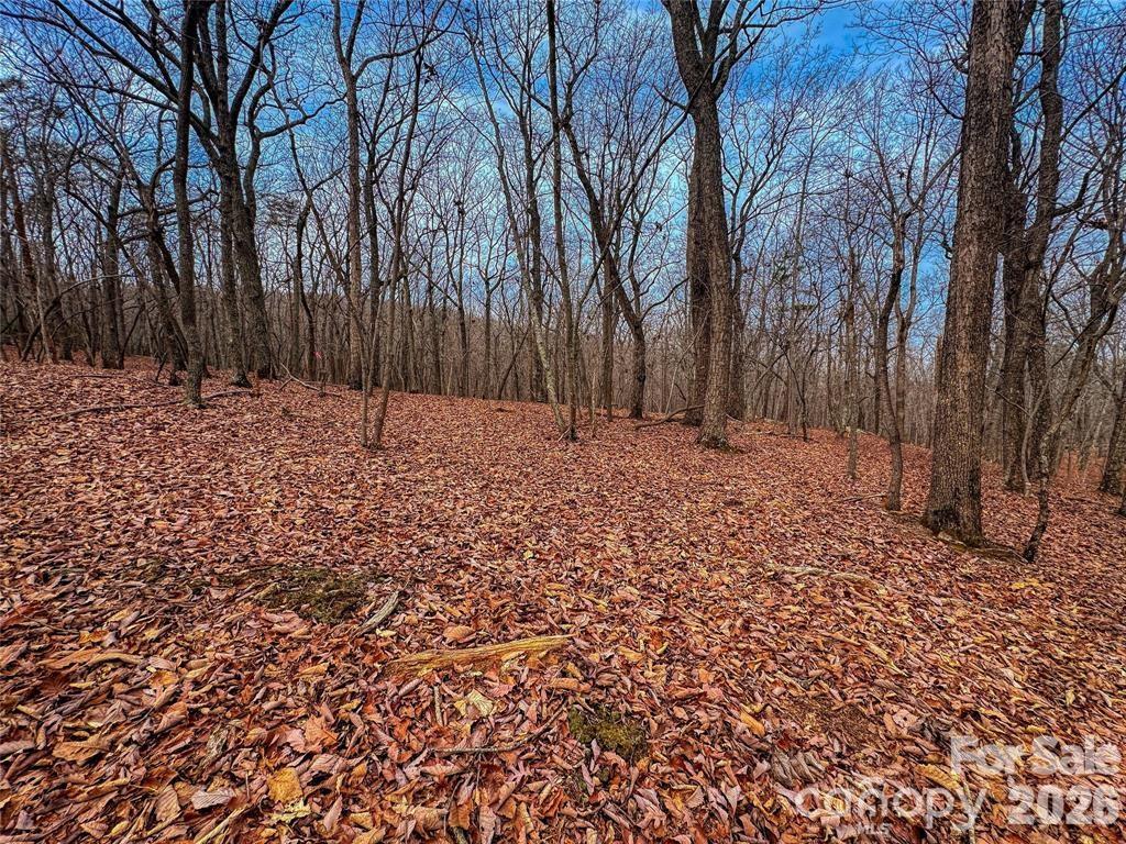 750 Palisade Trail Property Photo 9