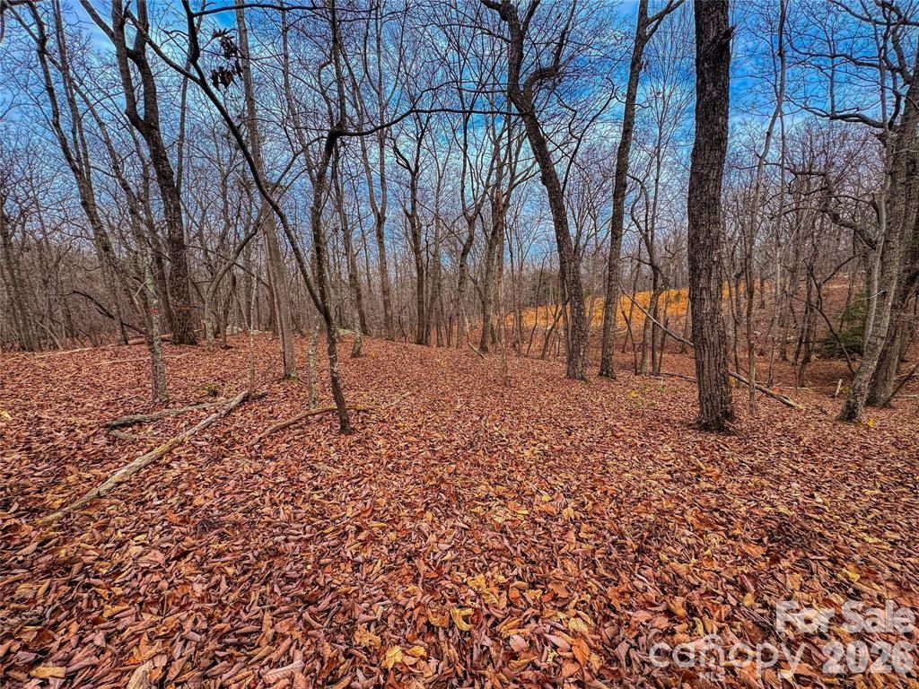 750 Palisade Trail Property Photo 10
