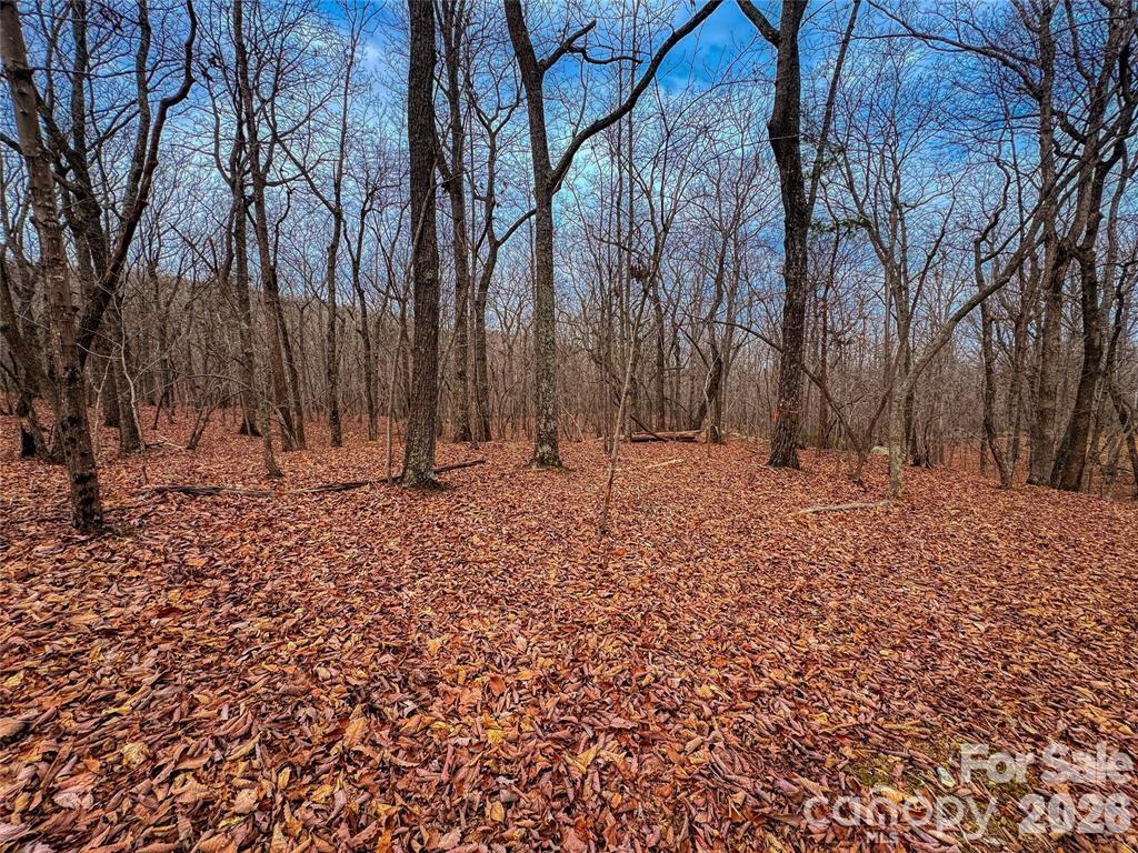 750 Palisade Trail Property Photo 11