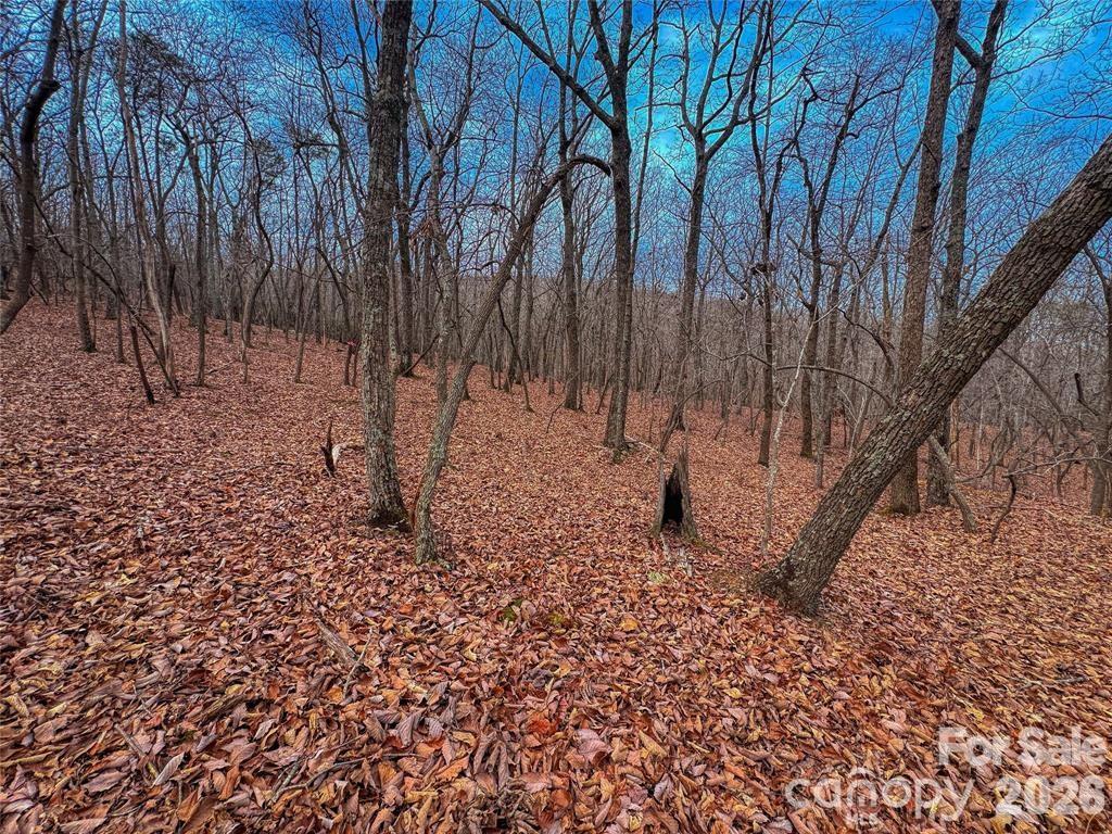 750 Palisade Trail Property Photo 12