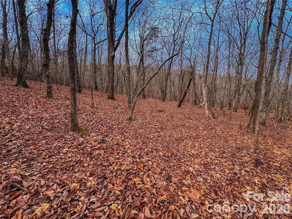 750 Palisade Trail Property Photo 13