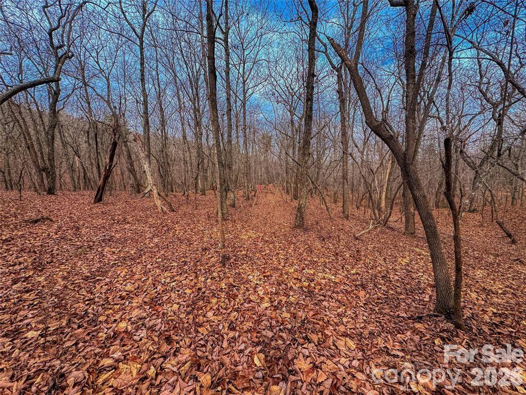 750 Palisade Trail Property Photo 14
