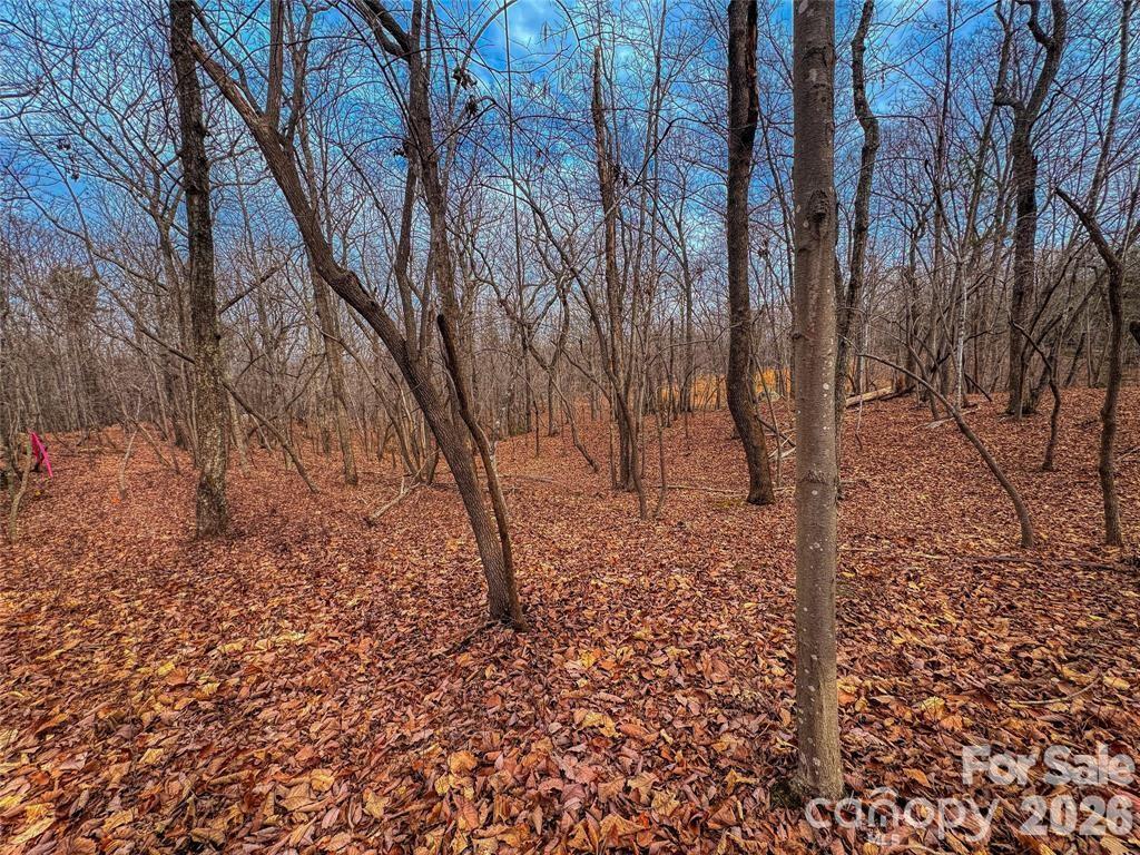 750 Palisade Trail Property Photo 15