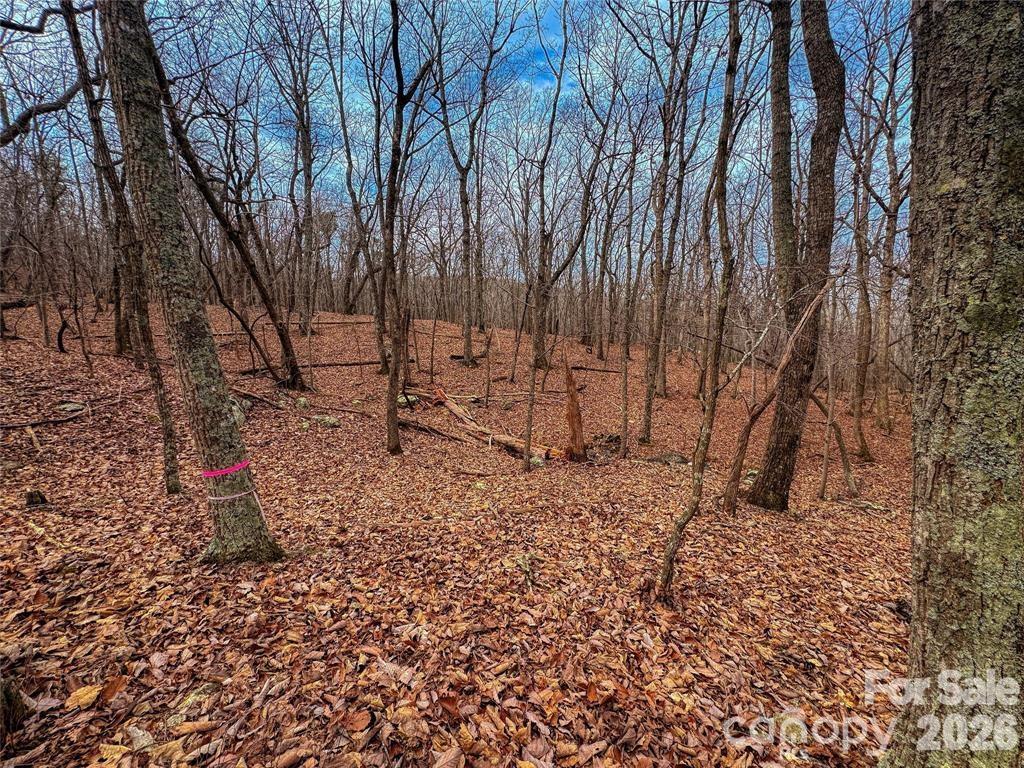 750 Palisade Trail Property Photo 16