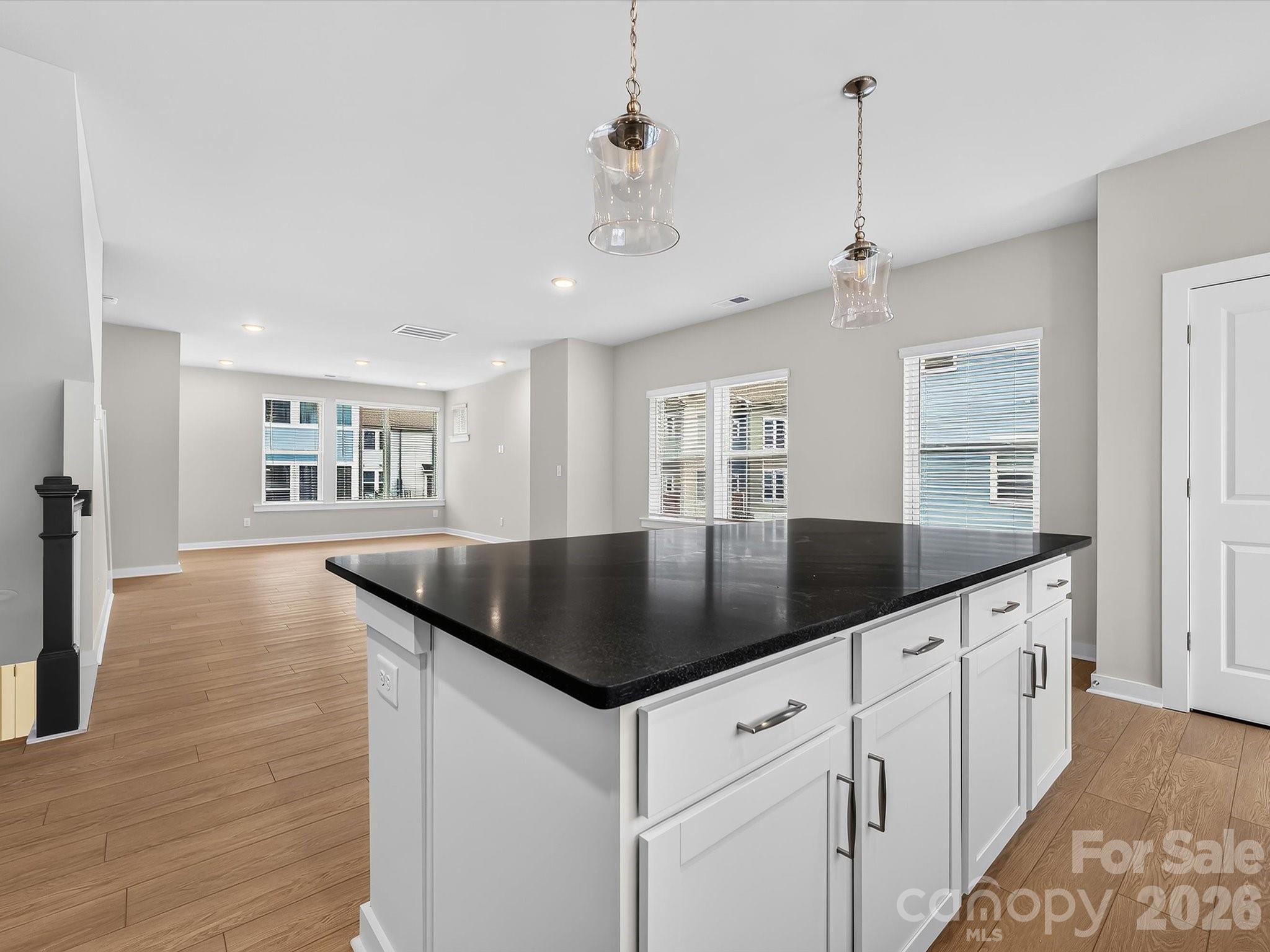1128 Bismuth Lane Property Photo 6