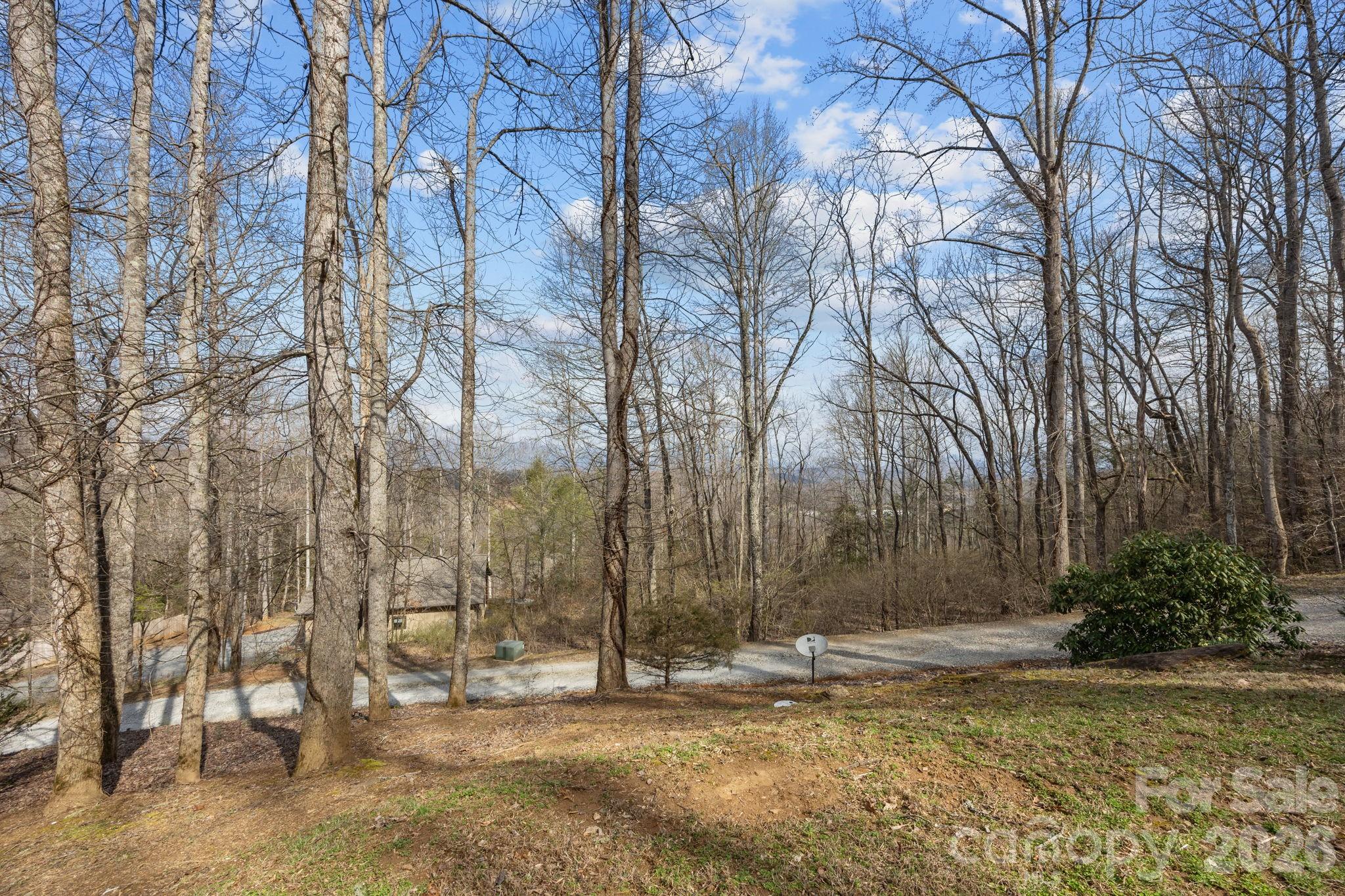400 Honey Locust Trail Property Photo 6