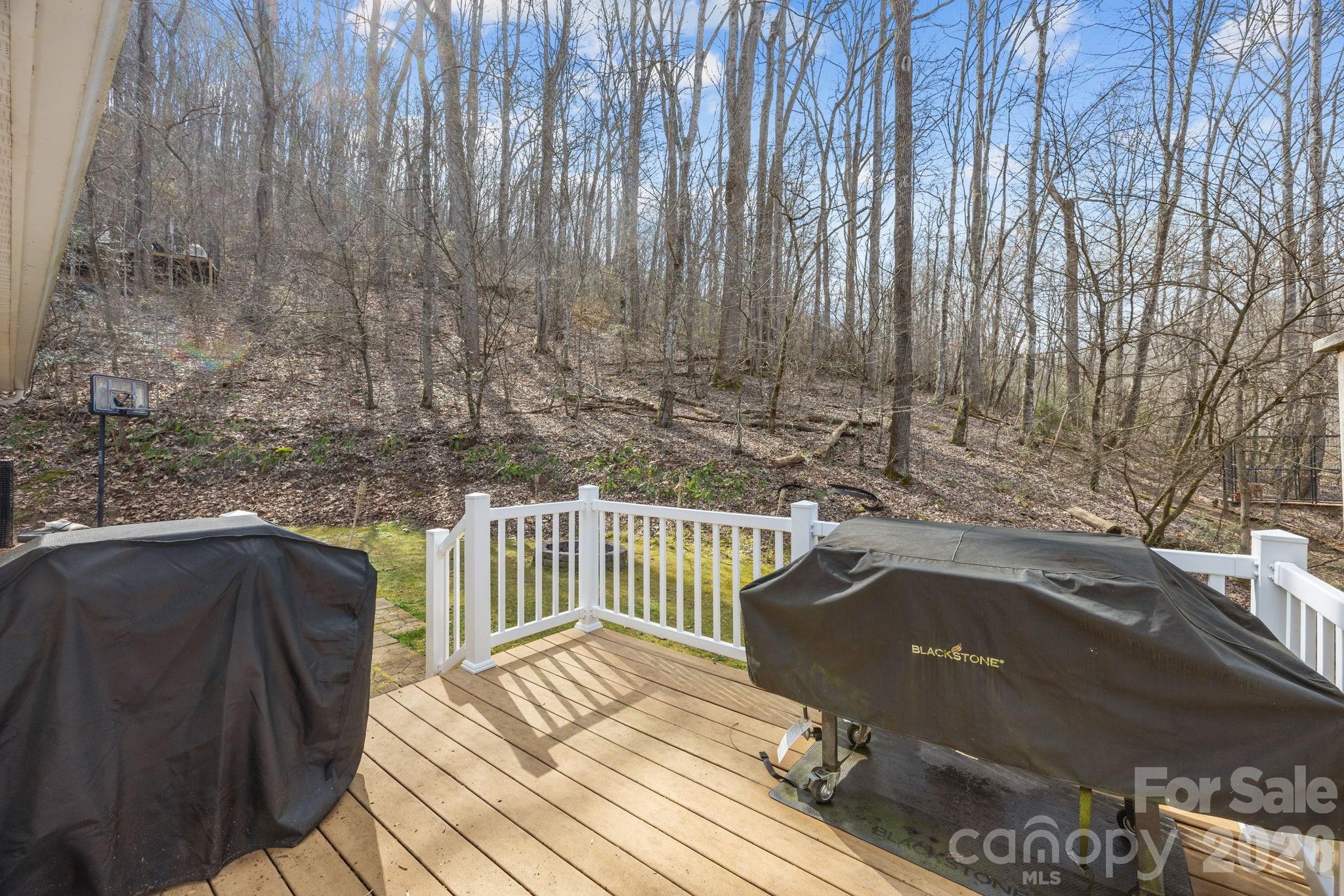 400 Honey Locust Trail Property Photo 9