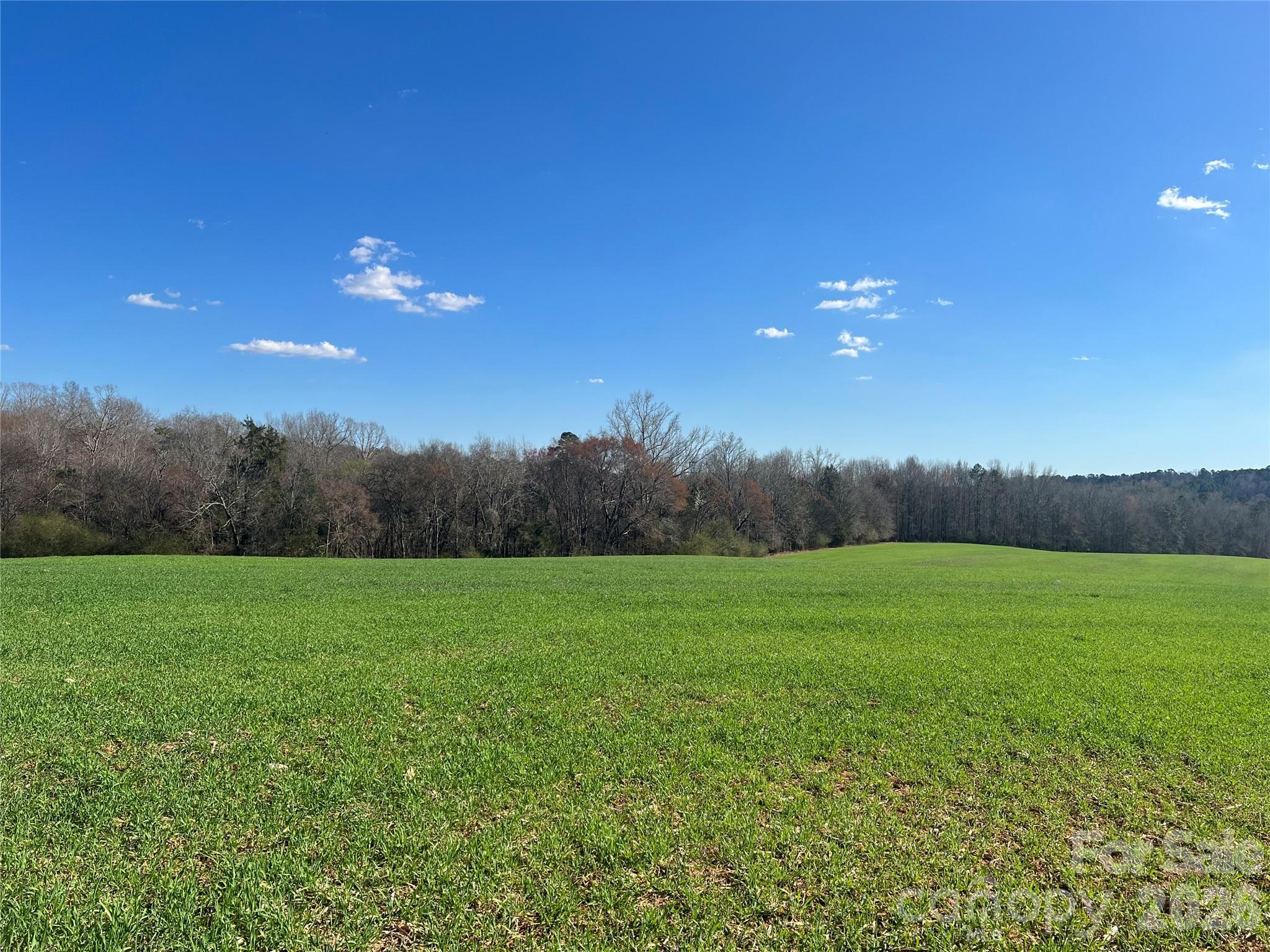 00 Bridge Road Property Photo 4