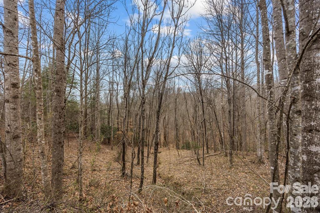 Lot 106 Glenhaven Drive Property Photo 3