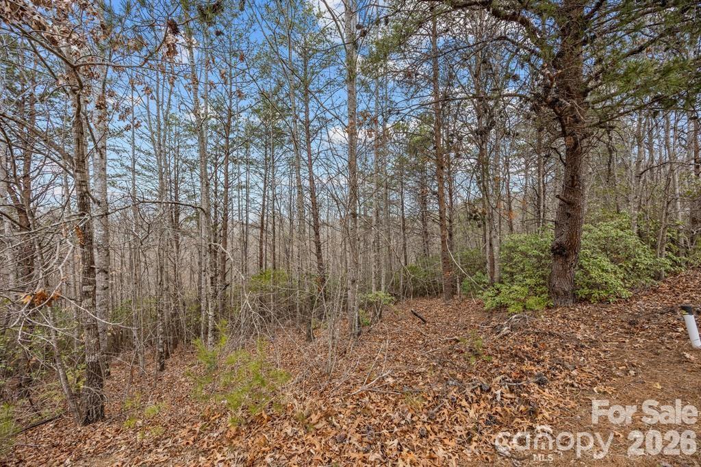 Lot 107 Glenhaven Drive Property Photo 3