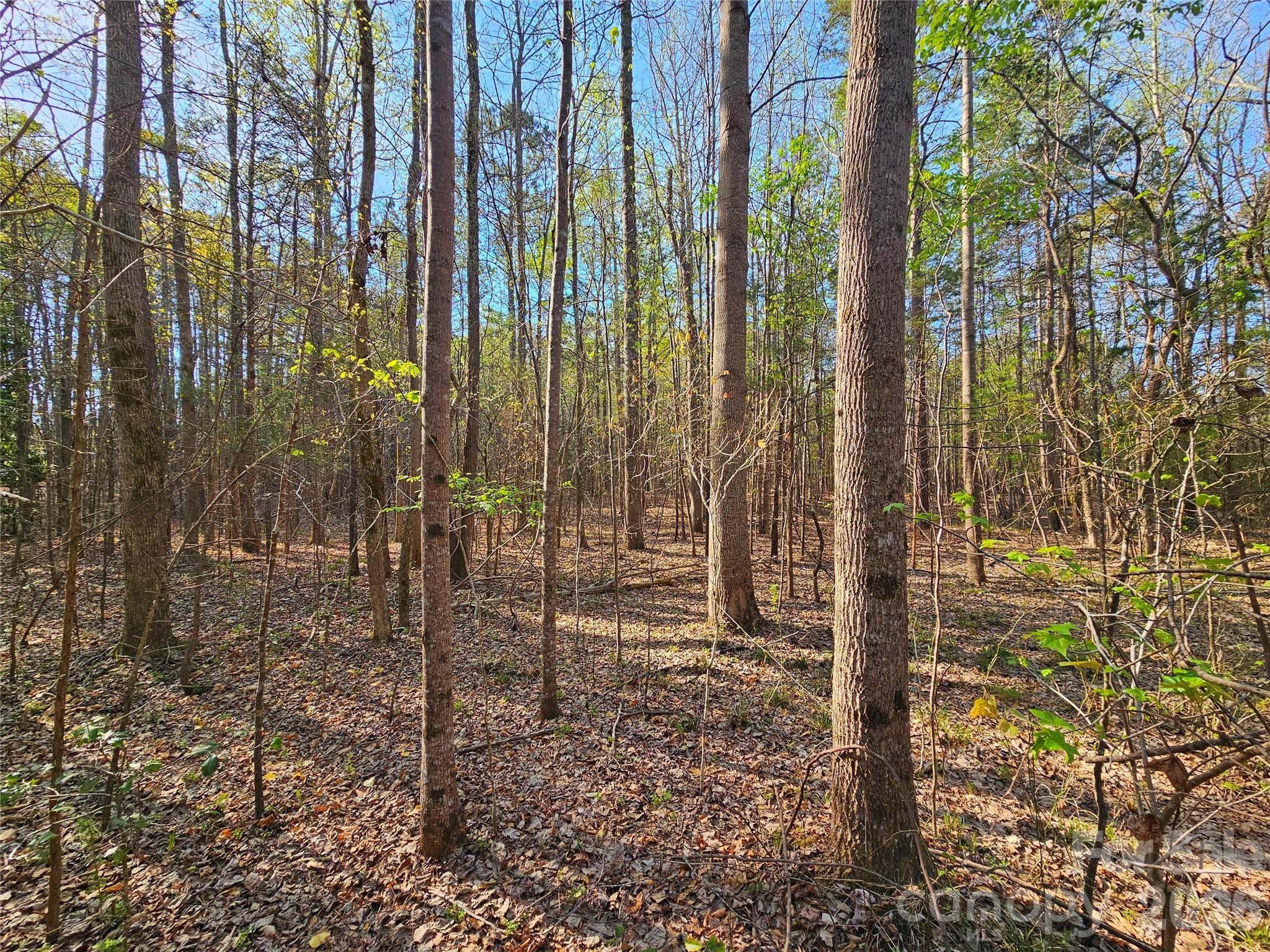 Lot 10 Elliott Road Property Photo 1
