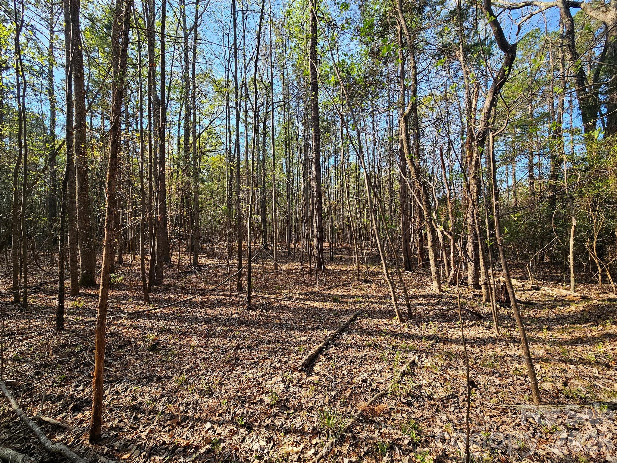 Lot 10 Elliott Road Property Photo 2