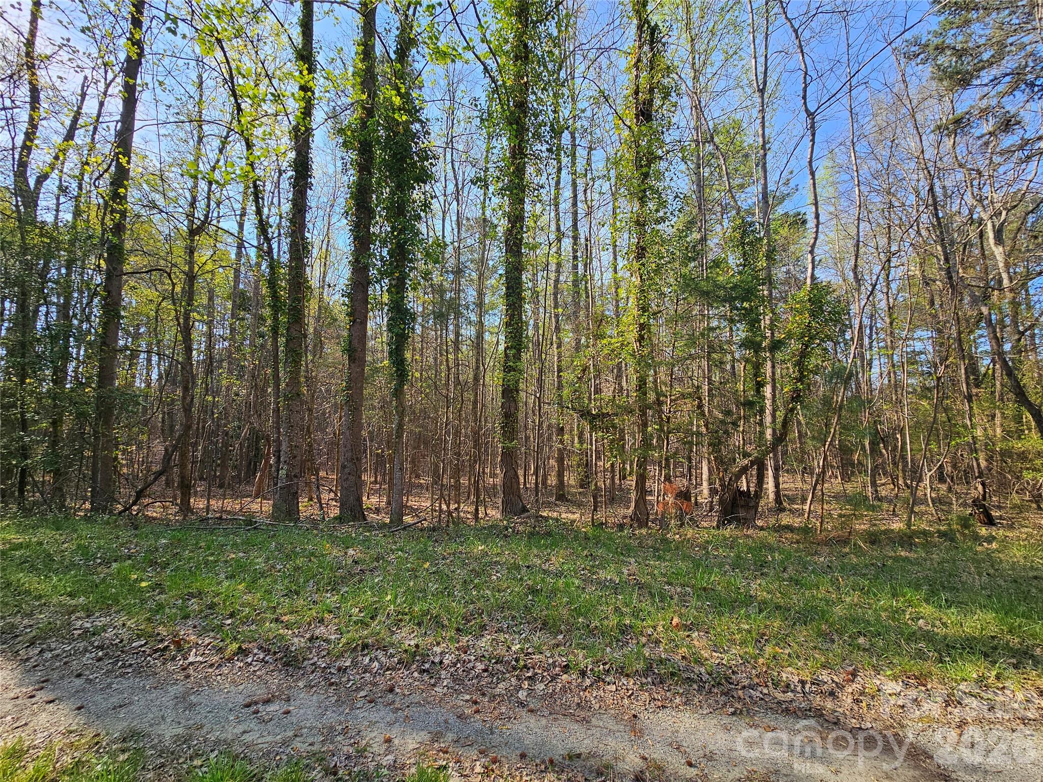 Lot 10 Elliott Road Property Photo 3