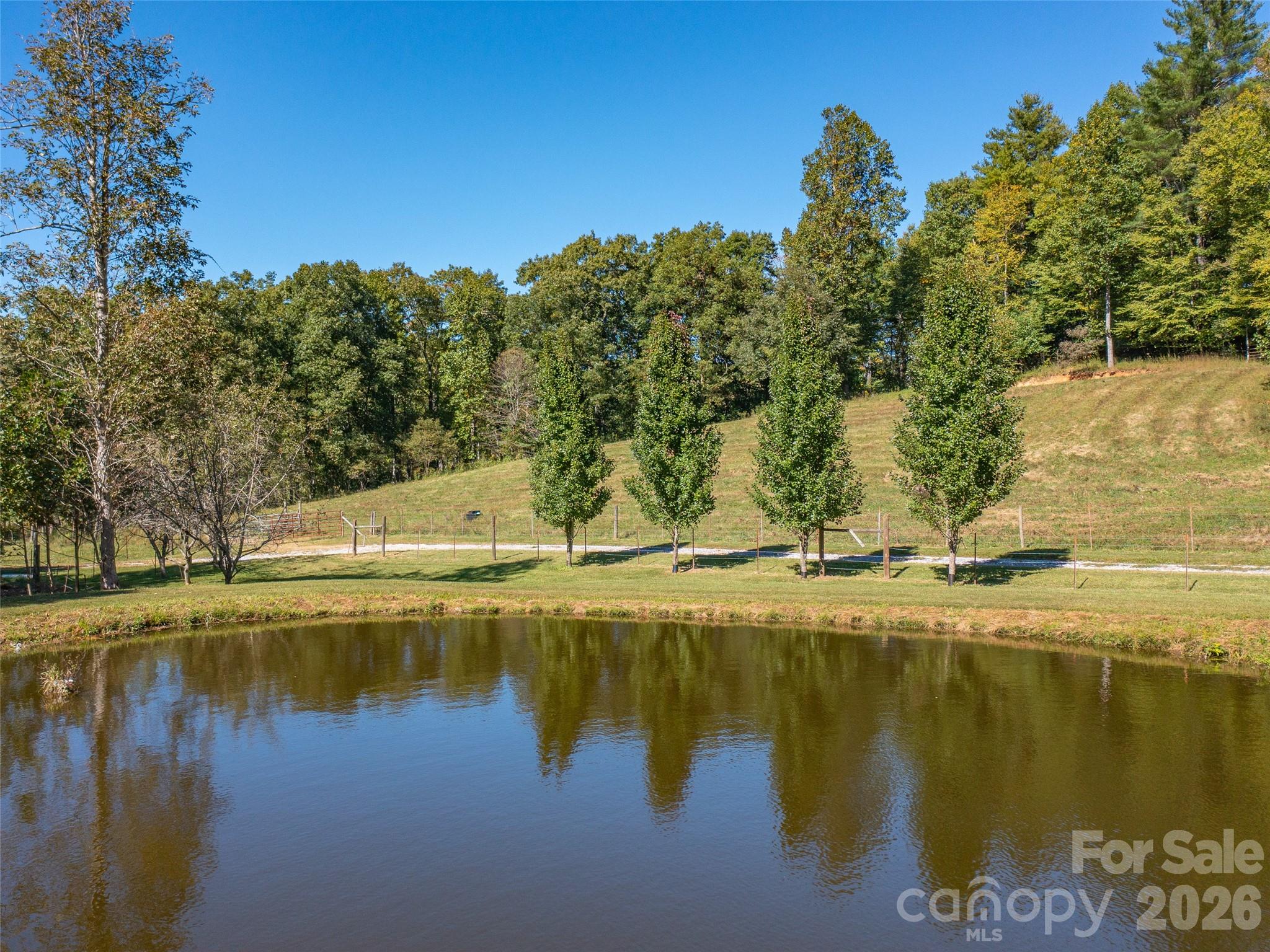 1050 Dale Road Property Photo 9