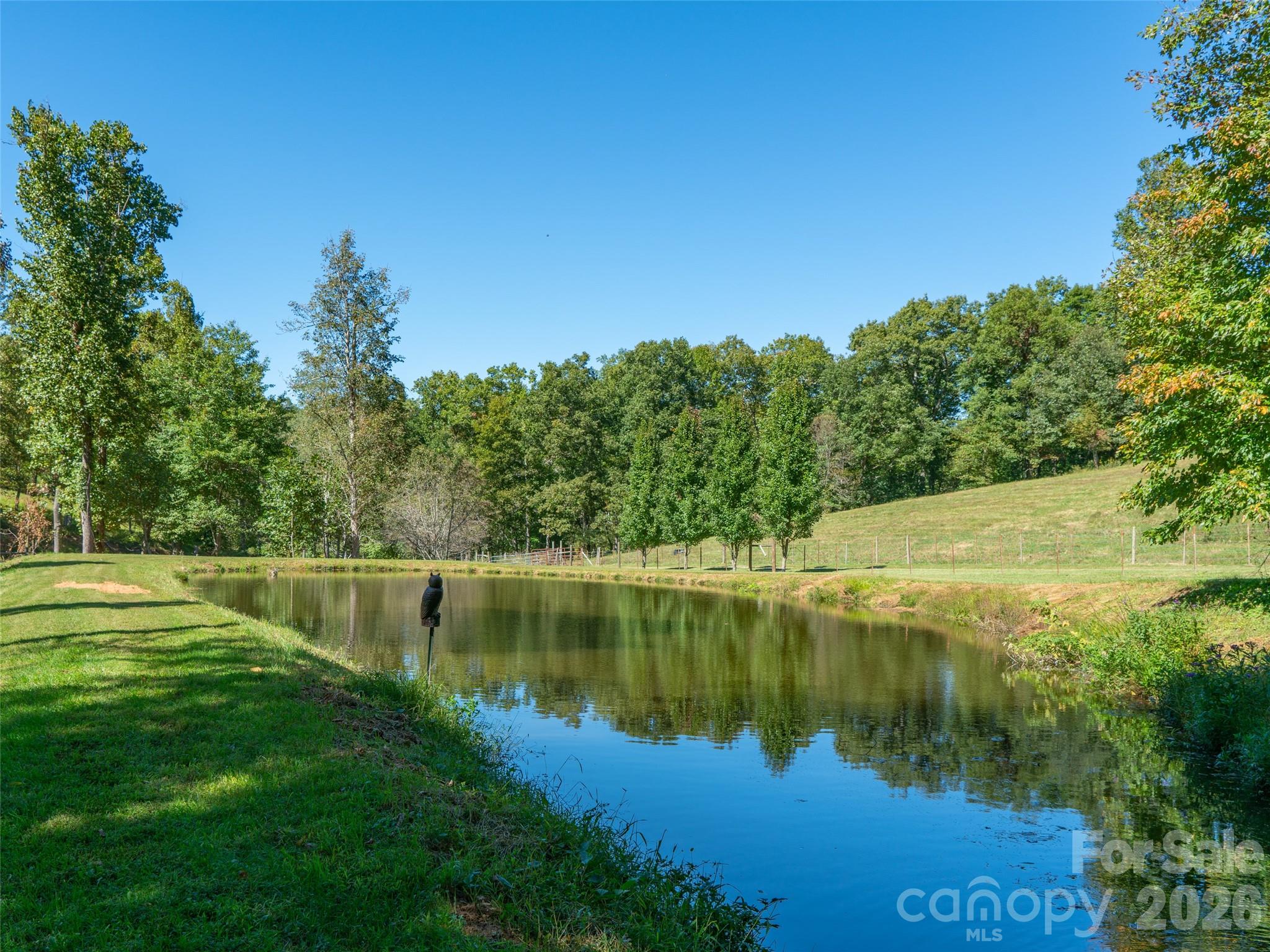 1050 Dale Road Property Photo 10