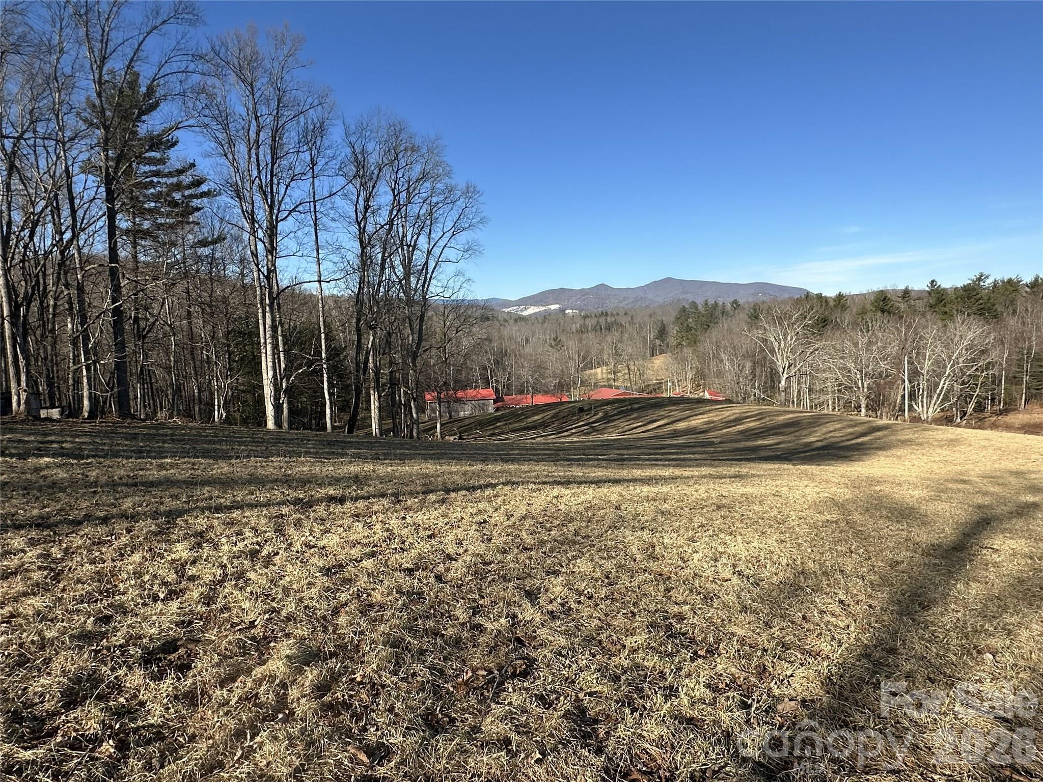 1050 Dale Road Property Photo 12