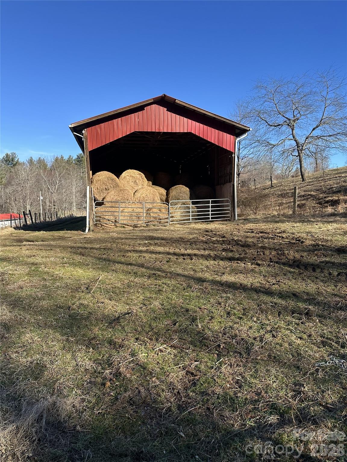 1050 Dale Road Property Photo 13