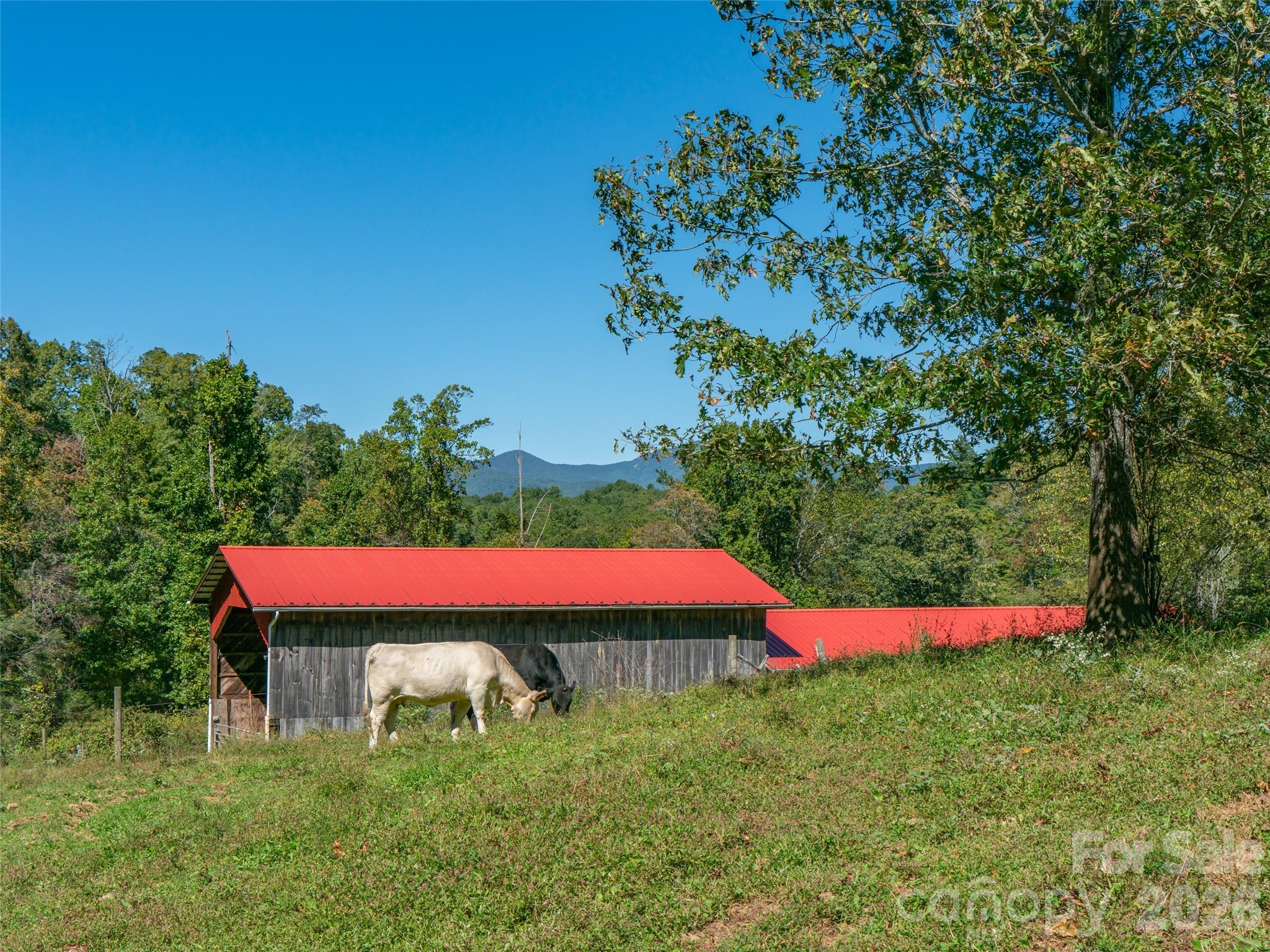 1050 Dale Road Property Photo 17