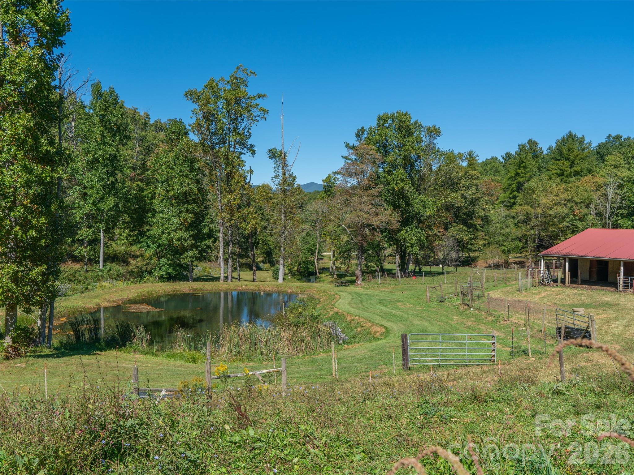 1050 Dale Road Property Photo 26