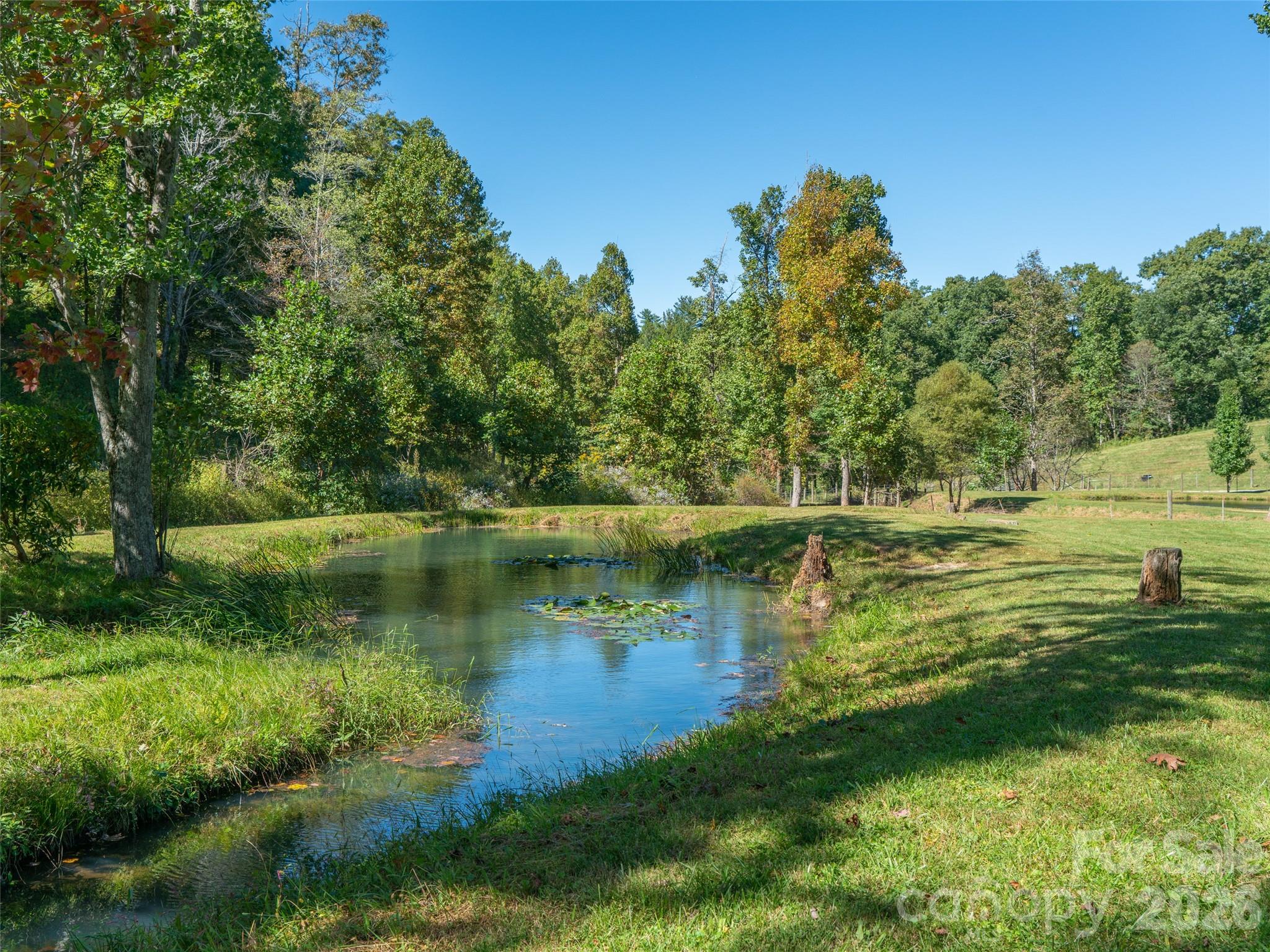 1050 Dale Road Property Photo 28
