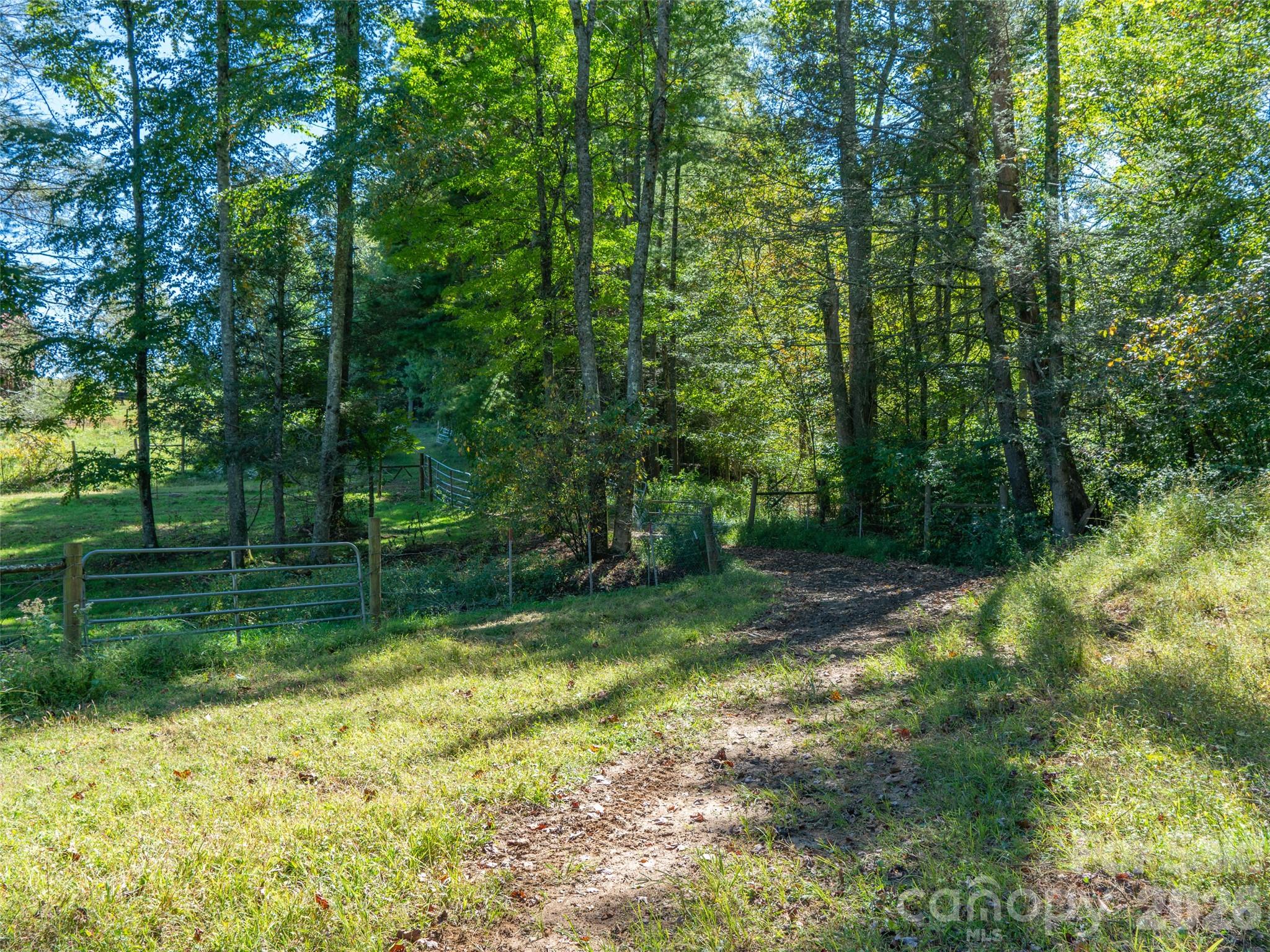 1050 Dale Road Property Photo 29