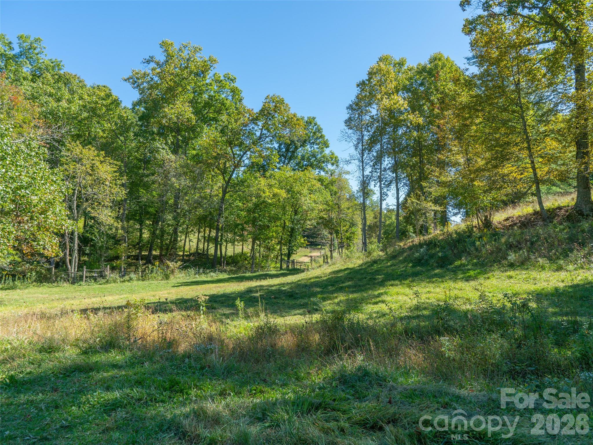 1050 Dale Road Property Photo 30