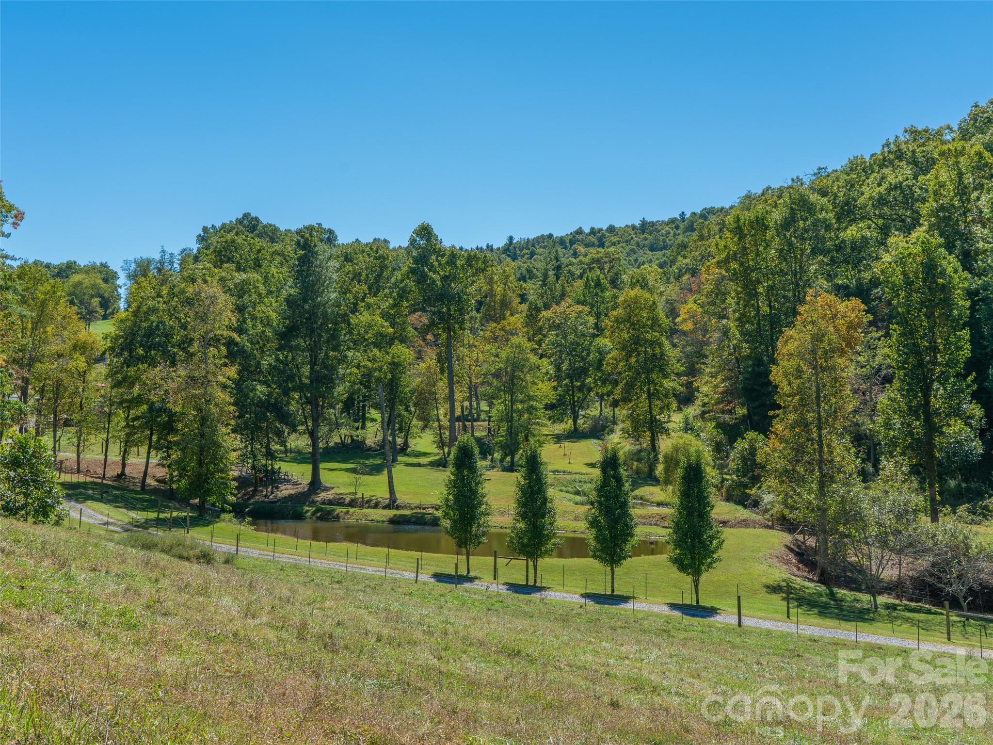 1050 Dale Road Property Photo 34