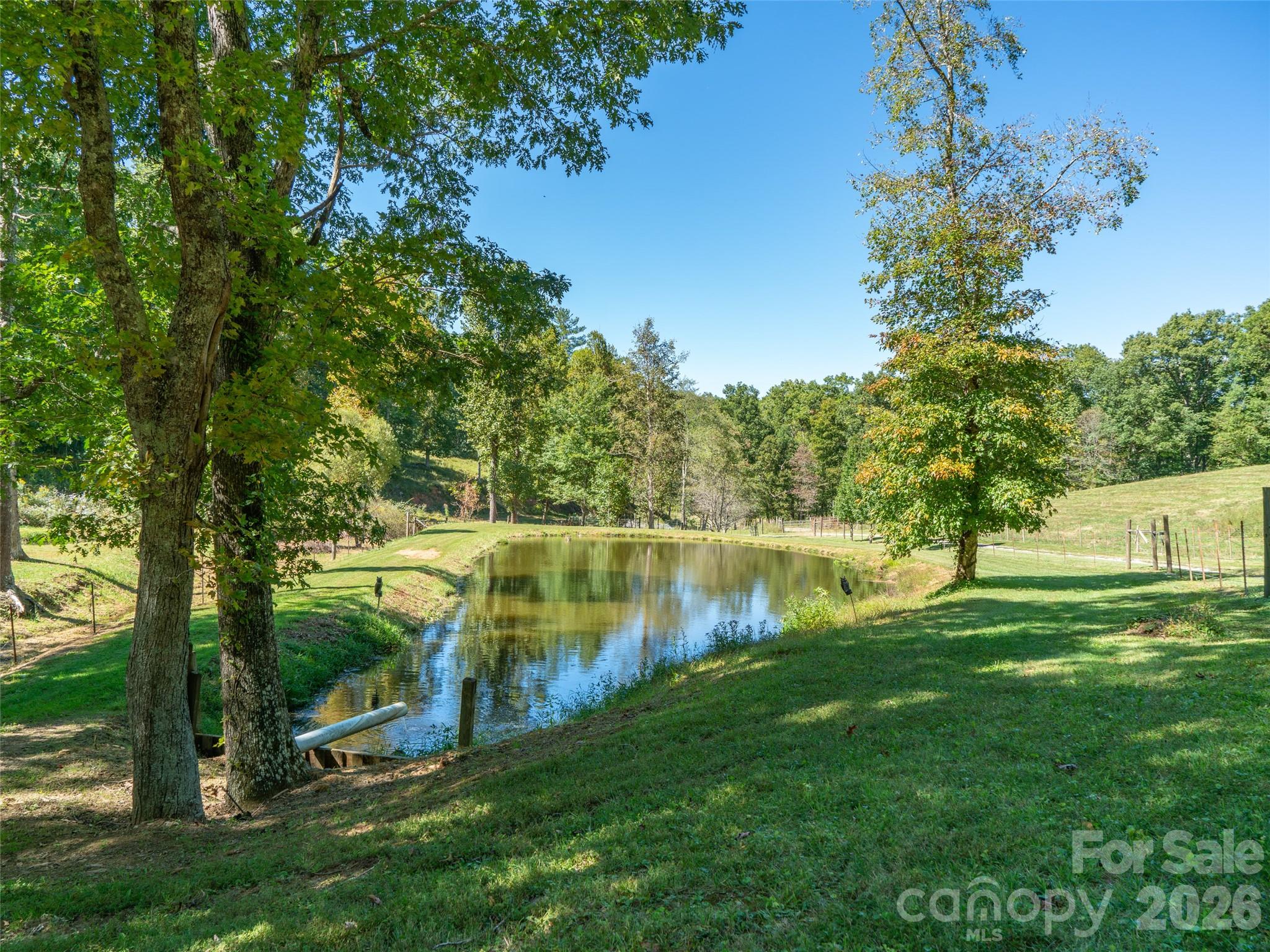 1050 Dale Road Property Photo 37
