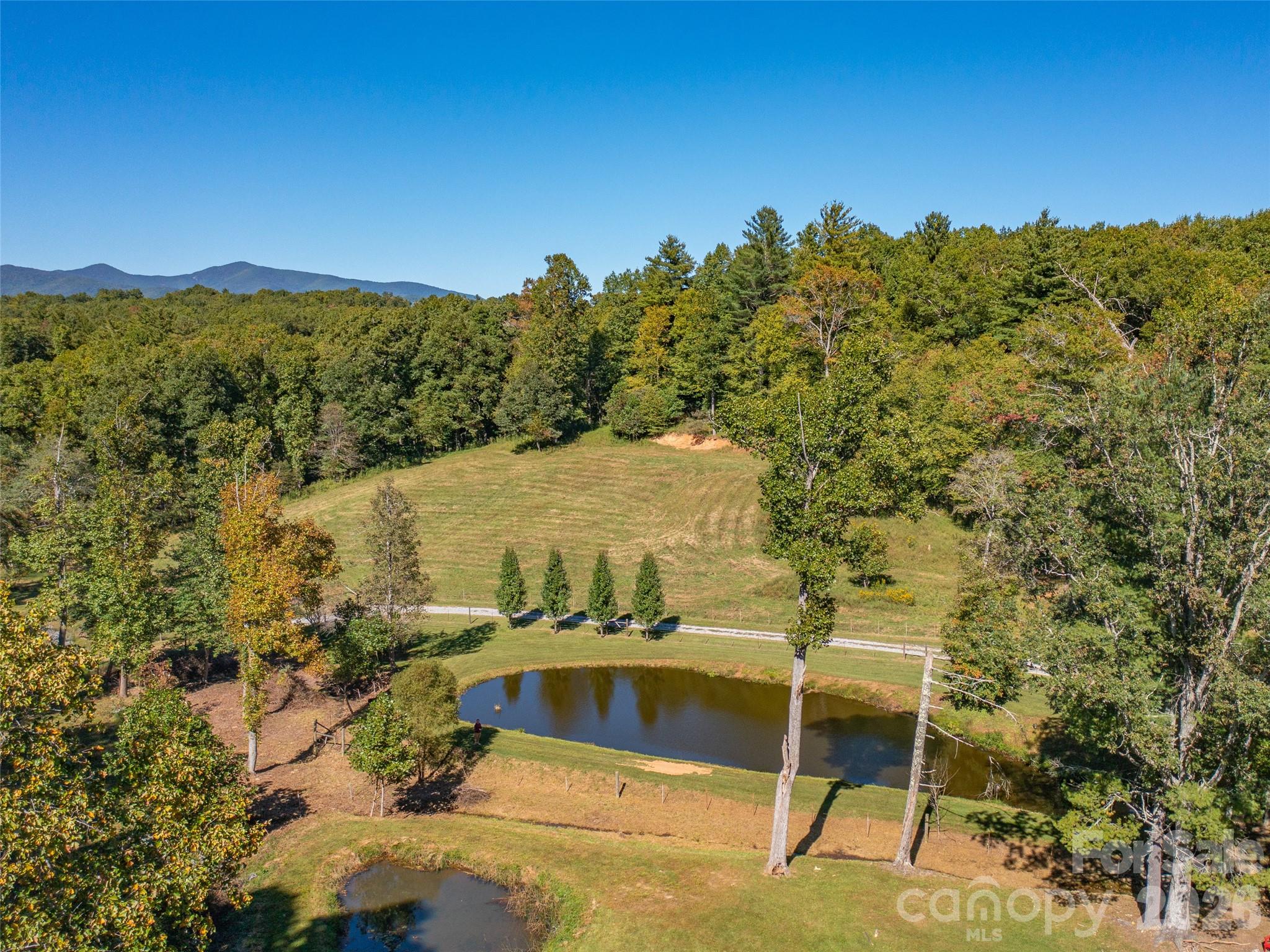 1050 Dale Road Property Photo 43