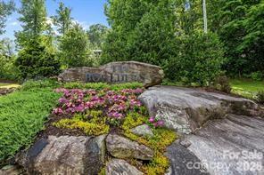 W12 Curtain Bluff Property Photo 3