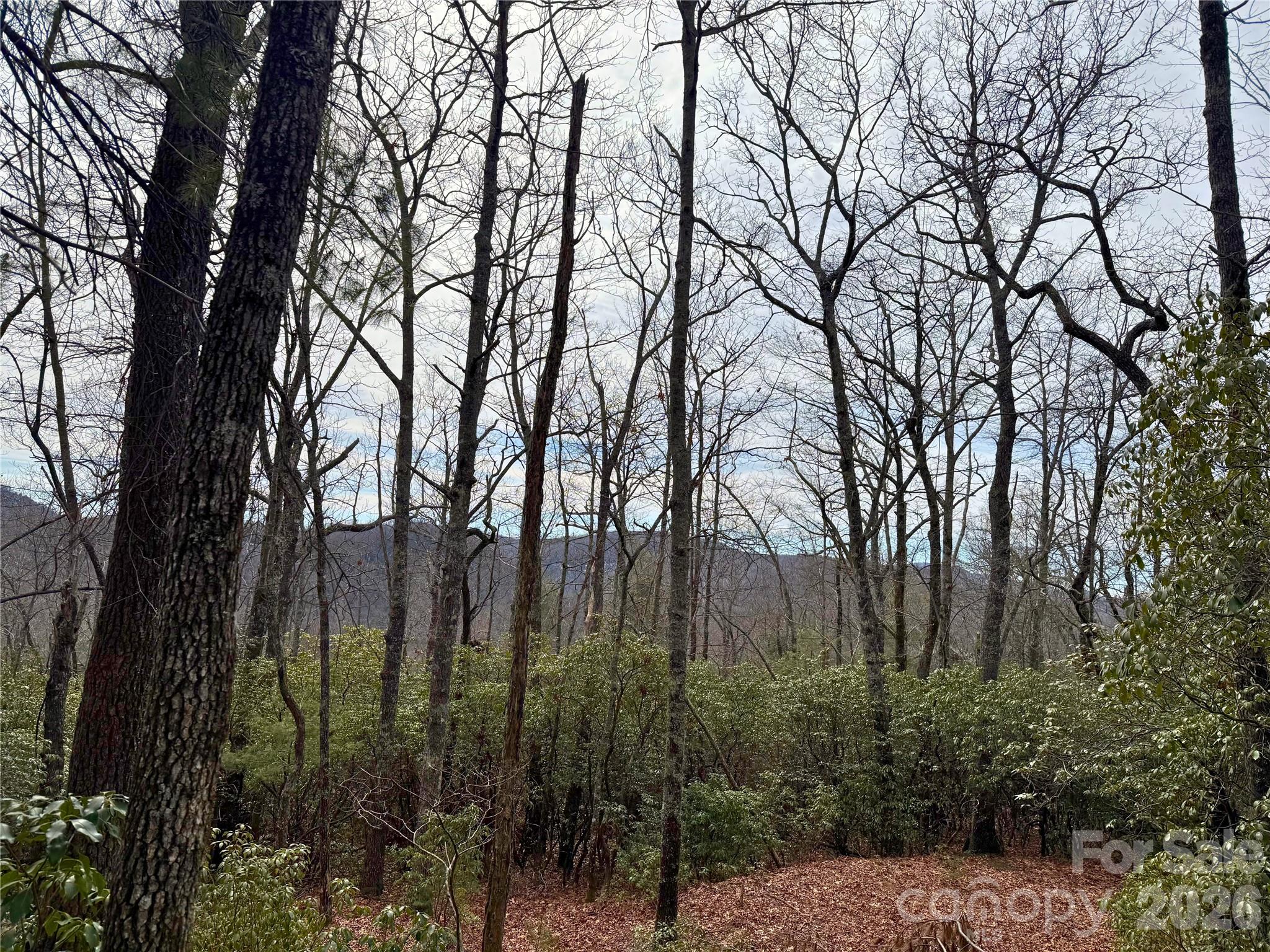 Tbd Laurel Thicket Lane Property Photo 1