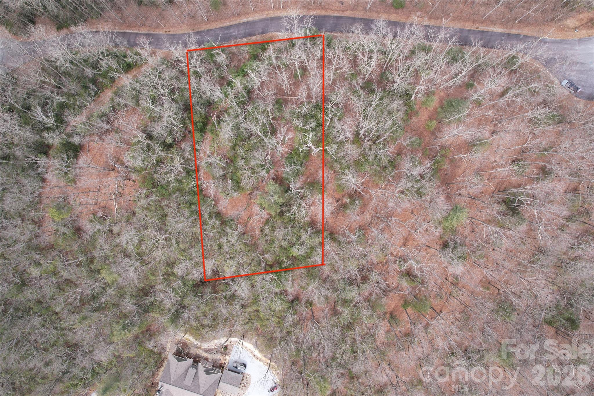 Tbd Laurel Thicket Lane Property Photo 2